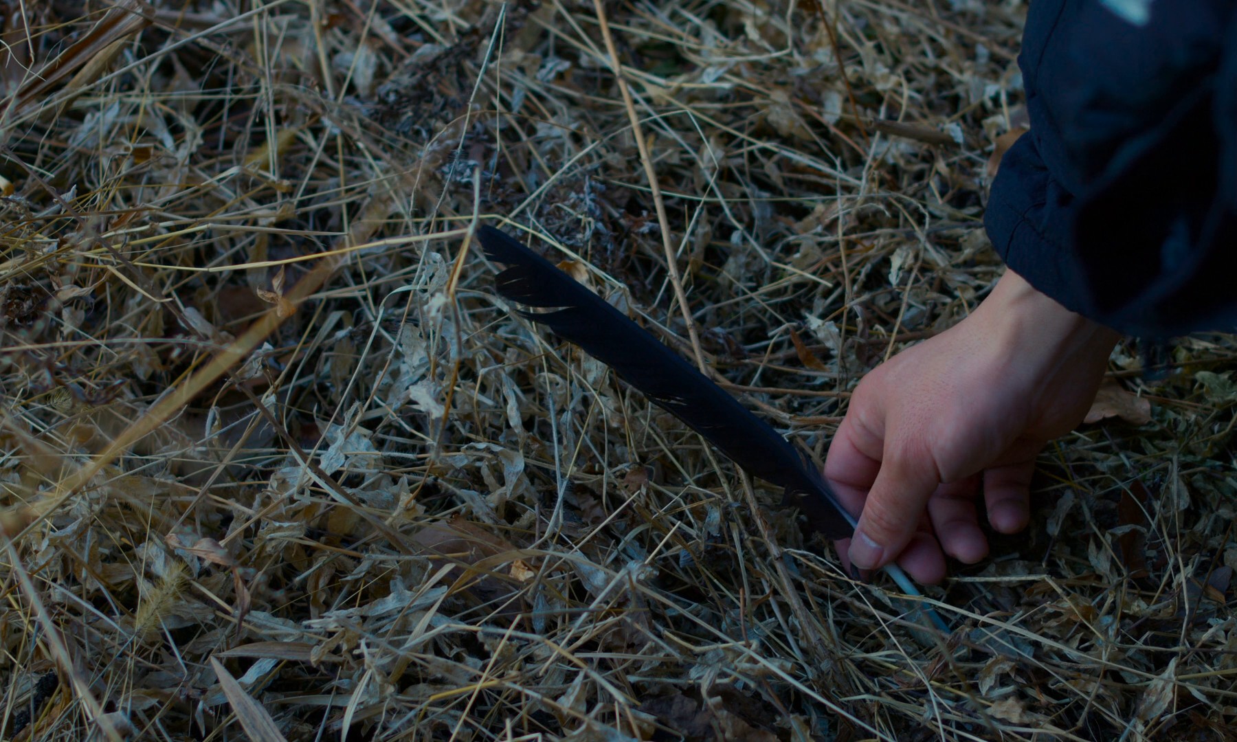 Evil Does Not Exist (2024) —  shot,  lighting