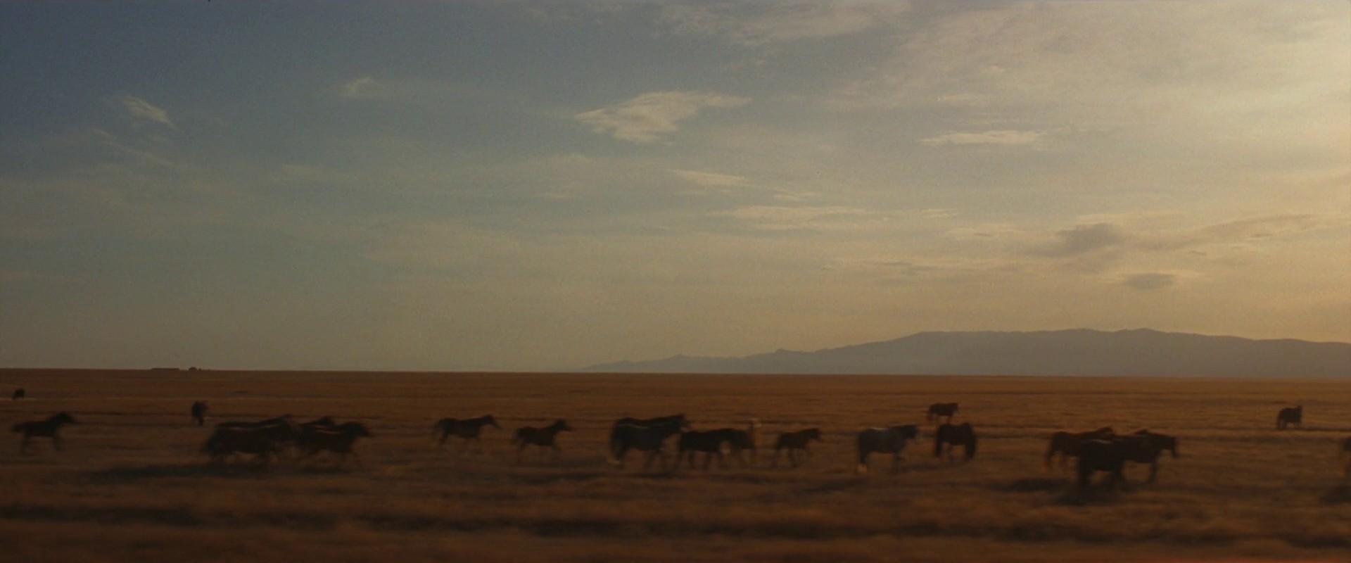 love, death, distraction (2019) —  shot,  lighting