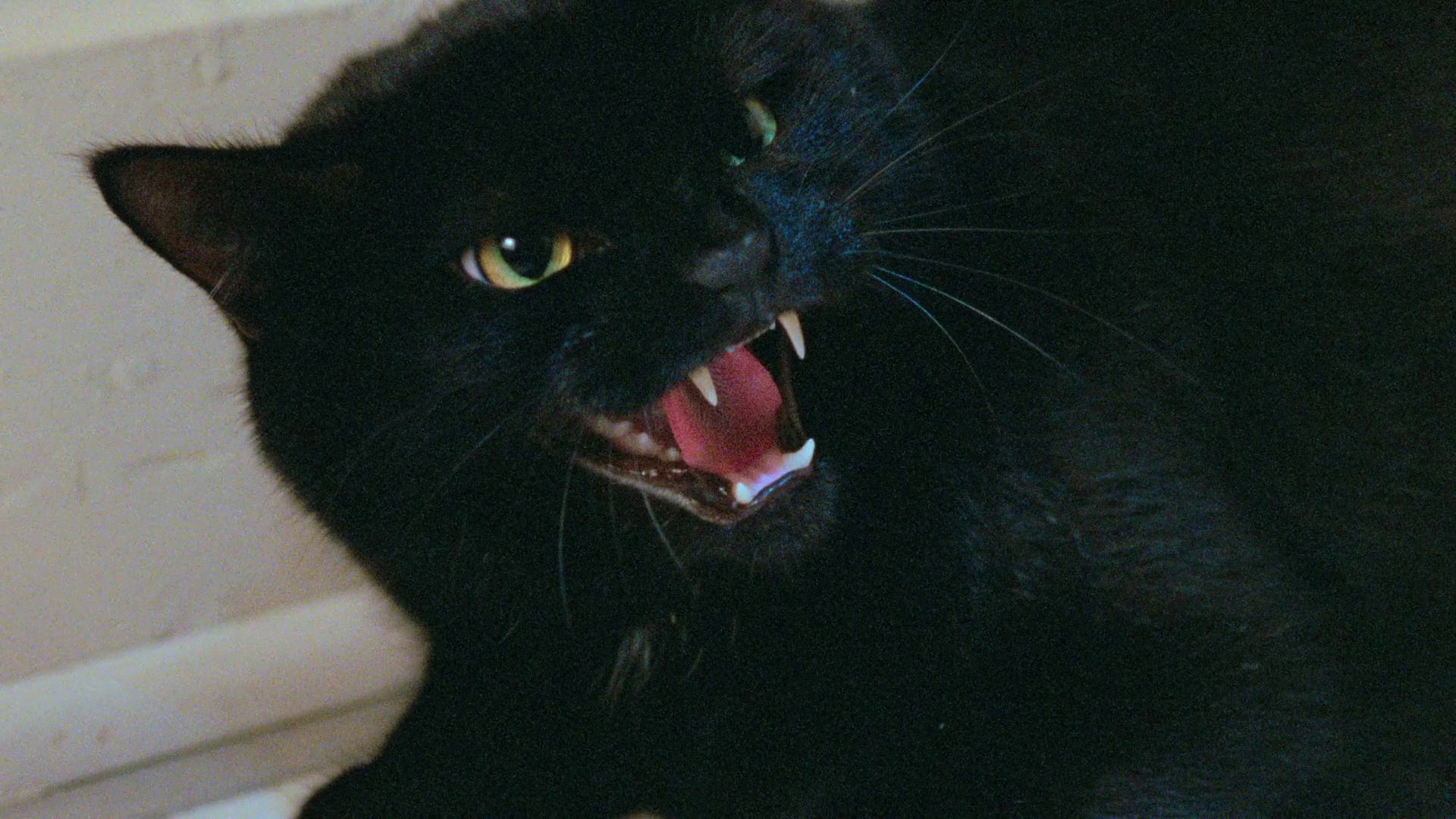  Two Evil Eyes (1990) —  shot,  lighting