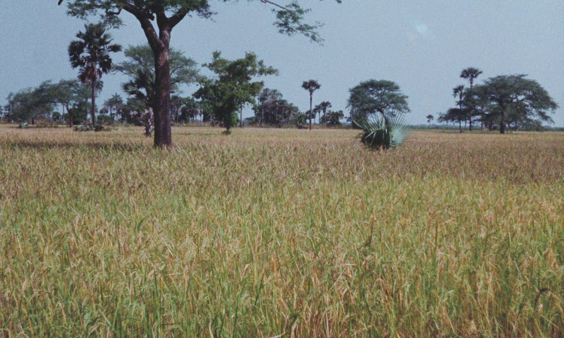 Emitai (1974) —  shot,  lighting