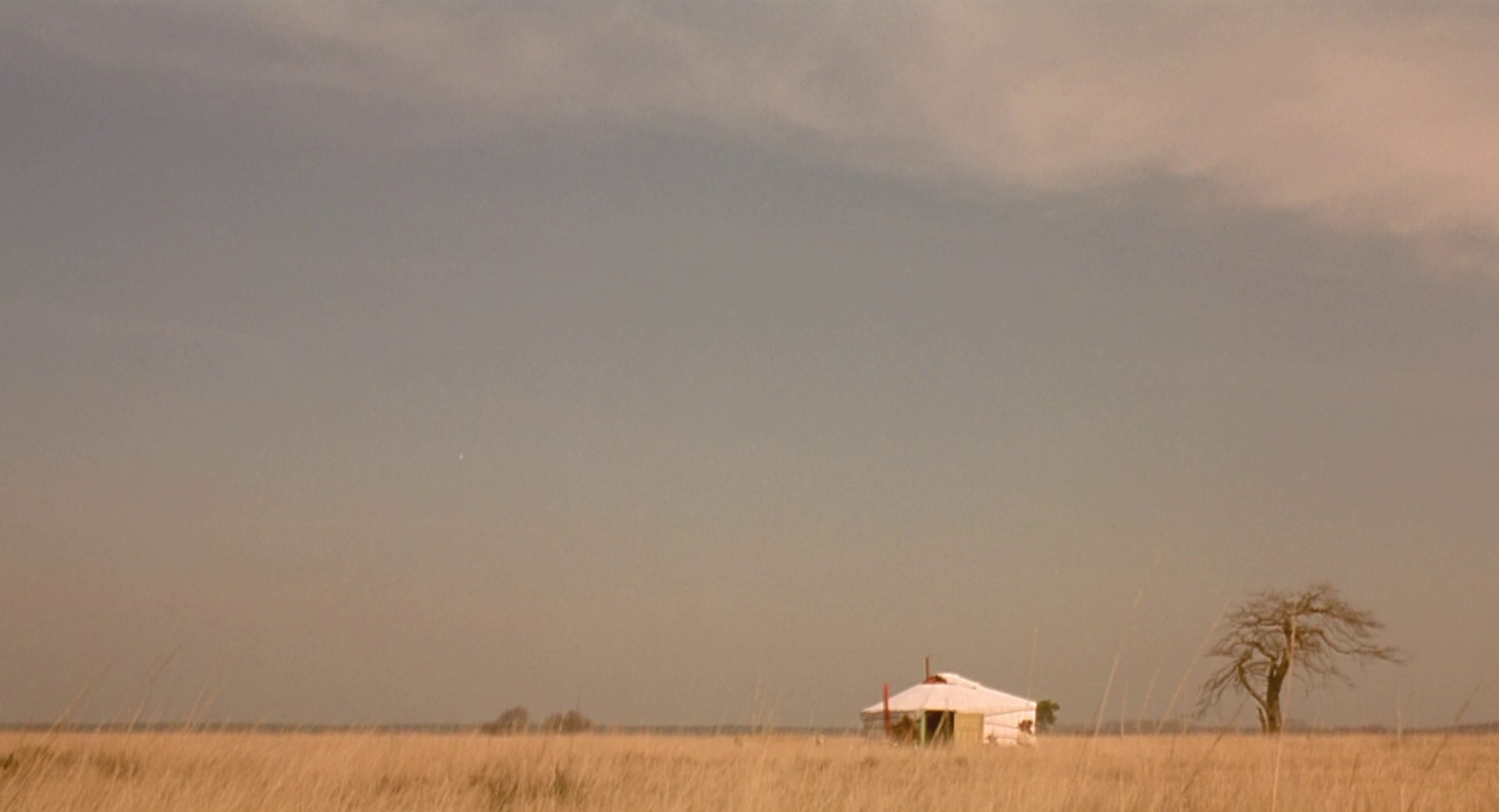 The Eighth Day (1996) —  shot,  lighting