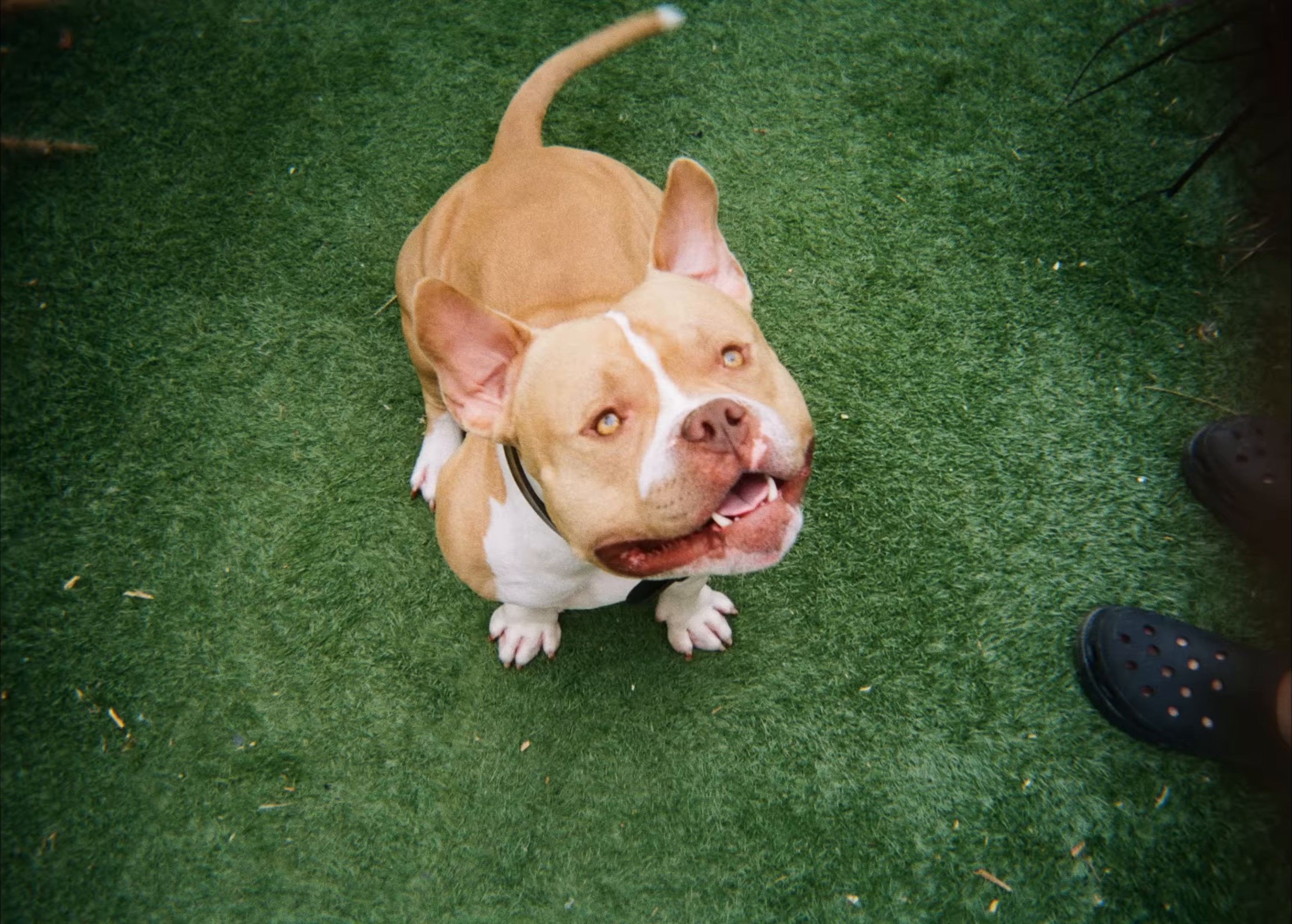 Un peu d'amour (2024) —  shot,  lighting