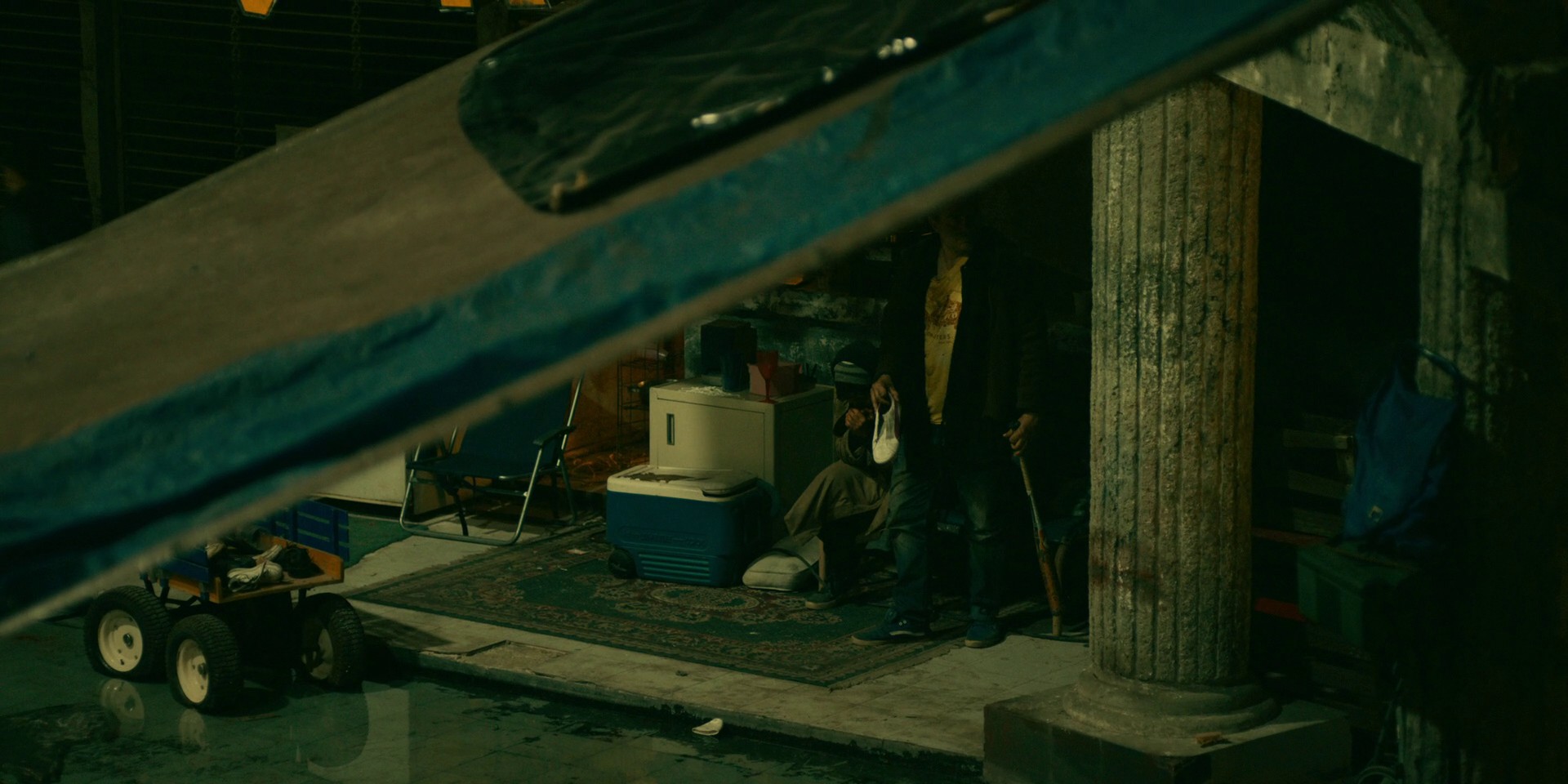 Foxes and Coyotes (2021) —  shot,  lighting