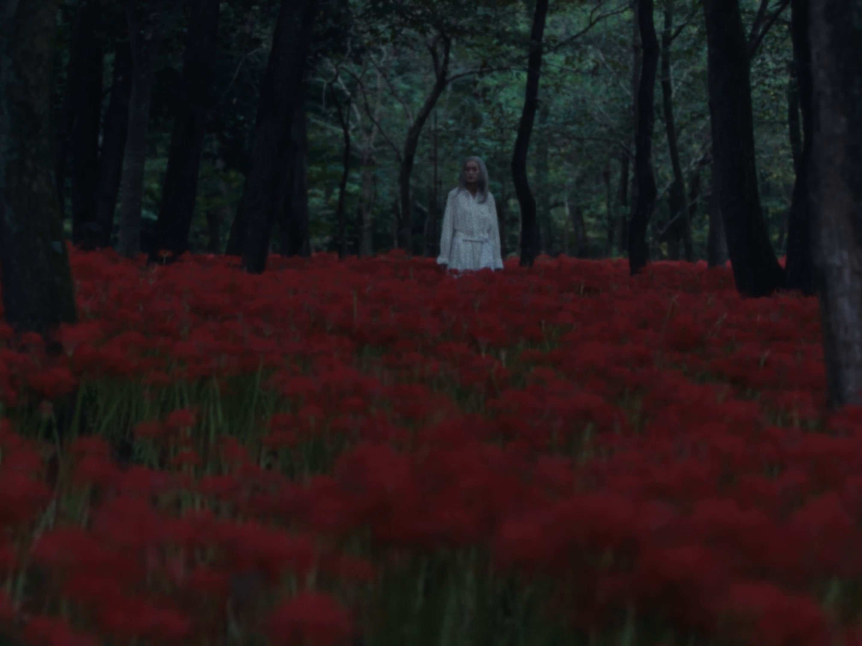 Shiawasettenani ? (2025) —  shot,  lighting