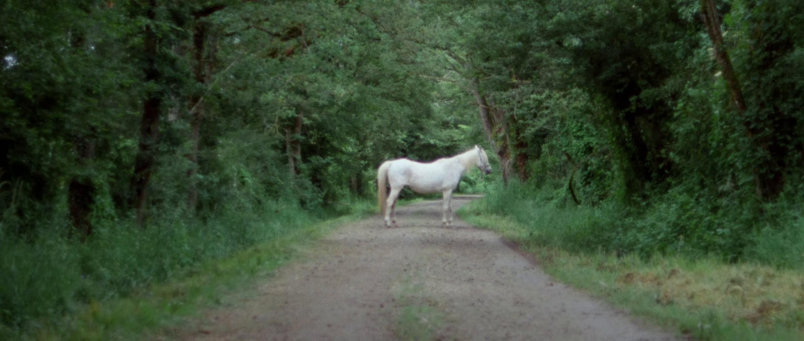 CYCLONES (2024) —  shot,  lighting