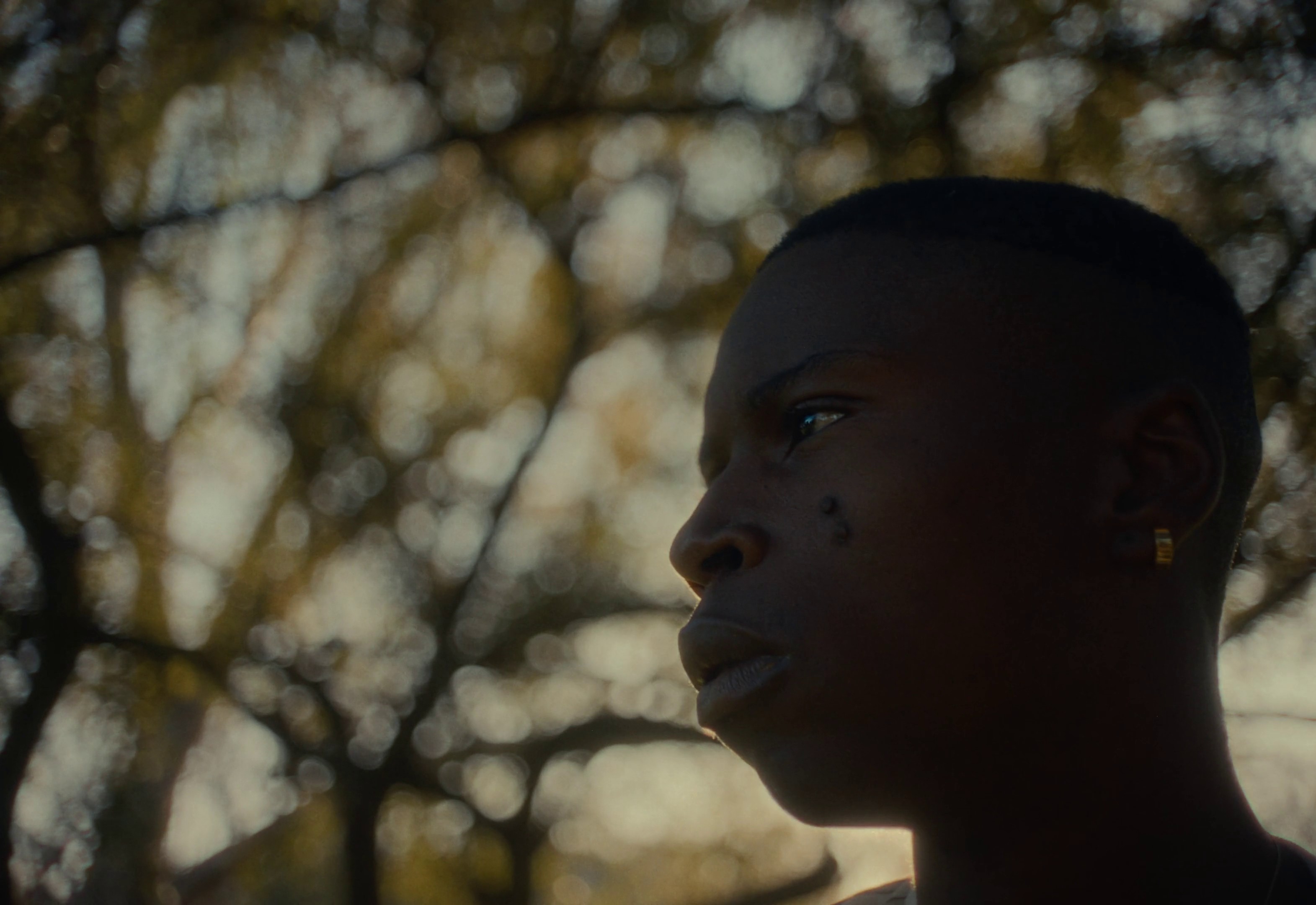 soze (2023) —  shot,  lighting