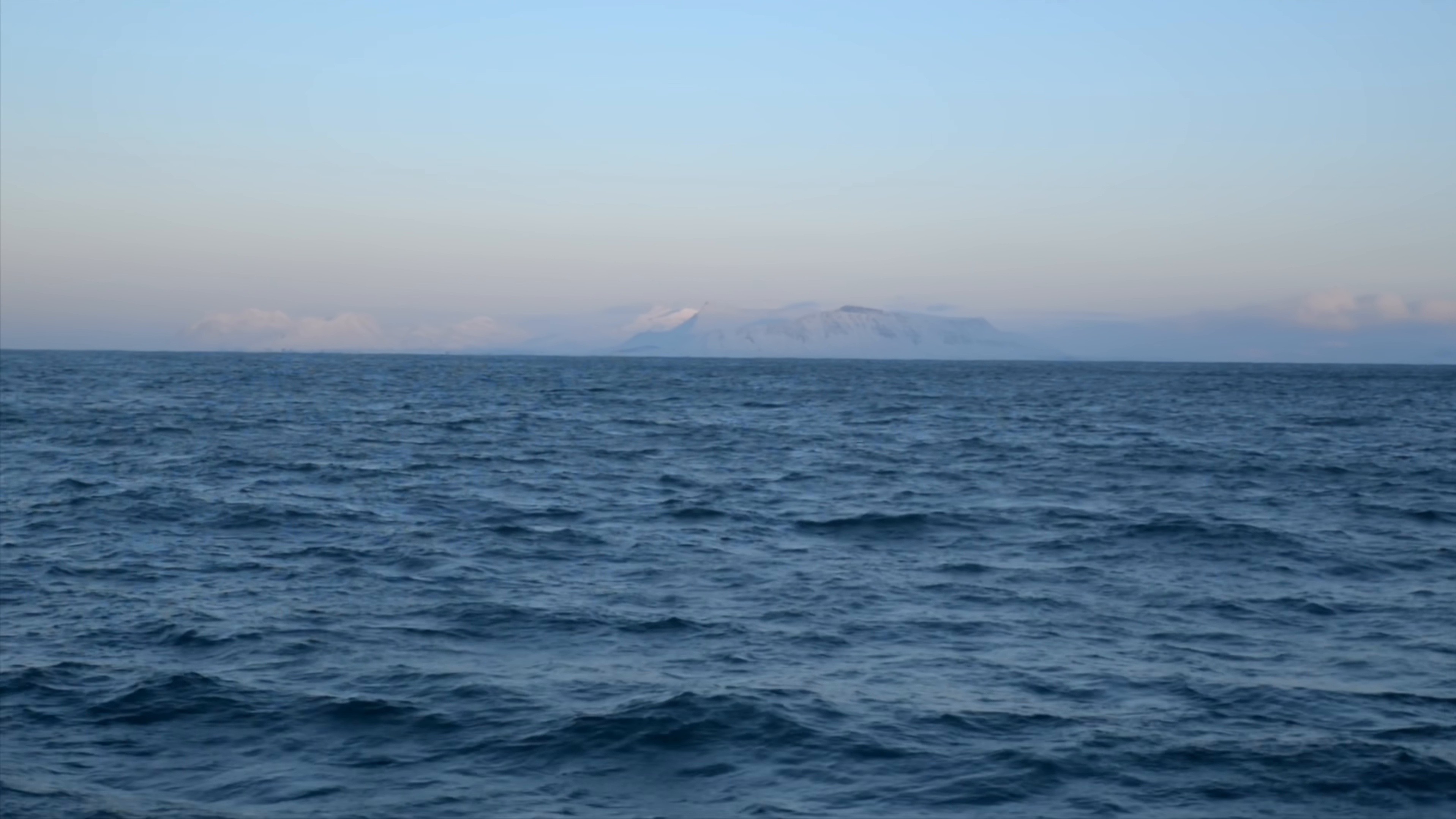 DIVE (2025) —  shot,  lighting