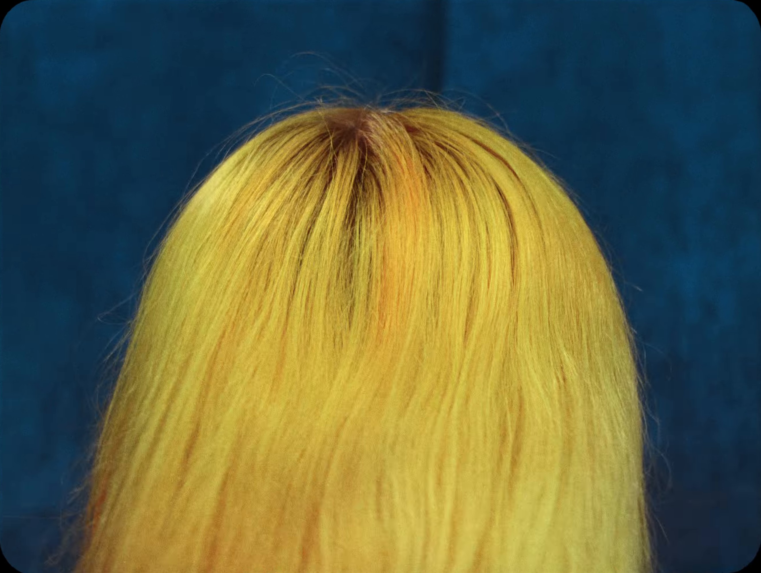 Freckles (2024) —  shot,  lighting