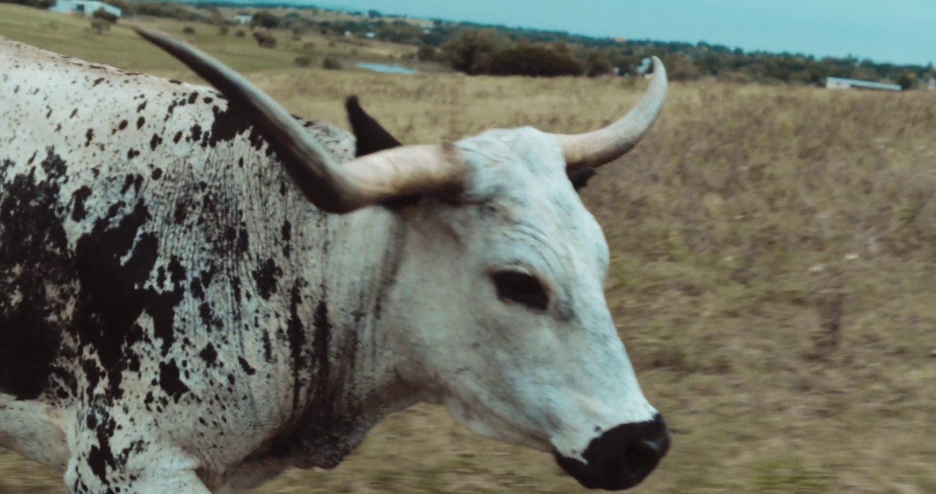 Left Hand Free (2014) —  shot,  lighting