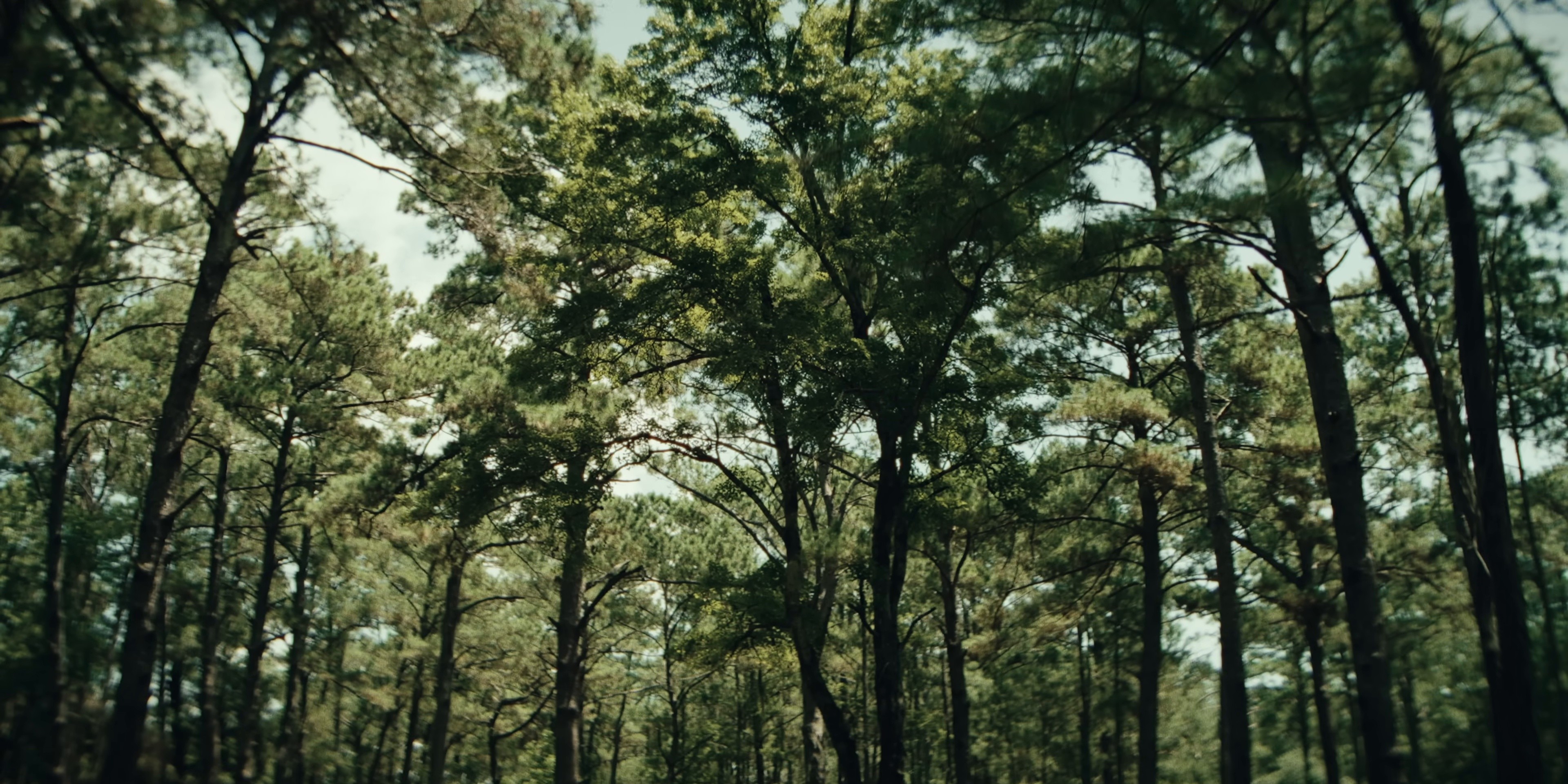 Sleeping (2025) —  shot,  lighting