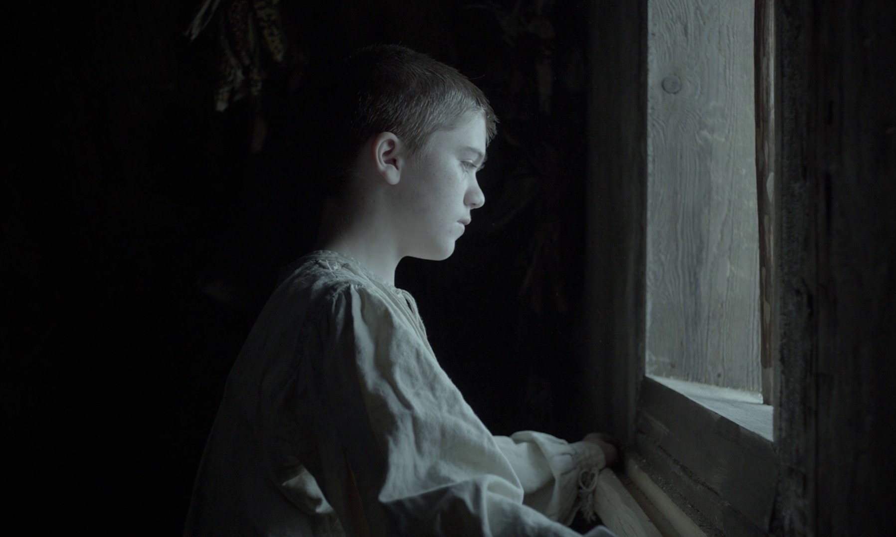 The Witch (2015) —  shot,  lighting