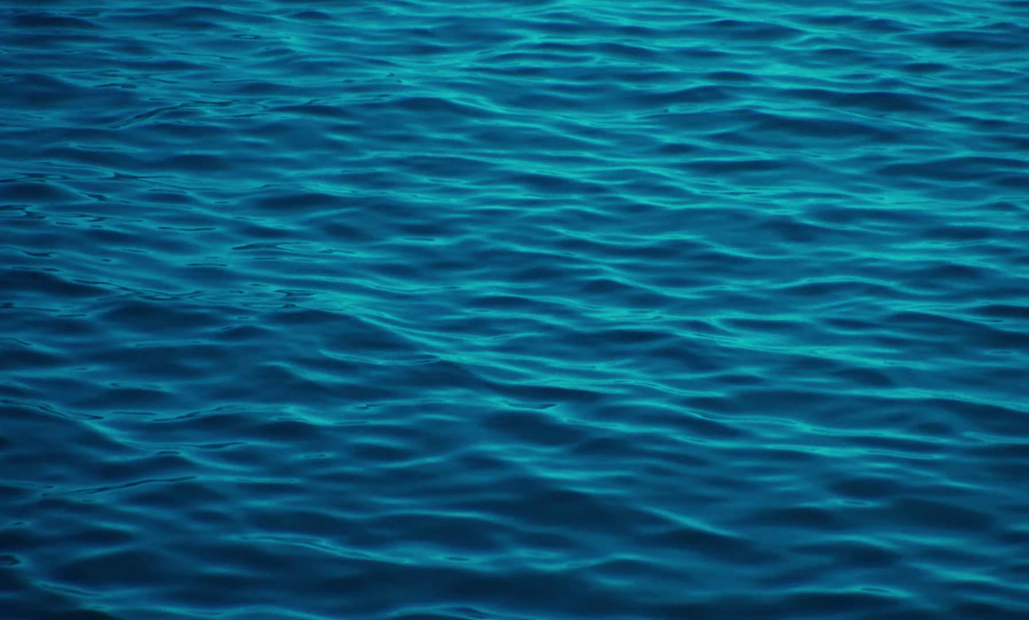 Vahiné (2022) —  shot,  lighting