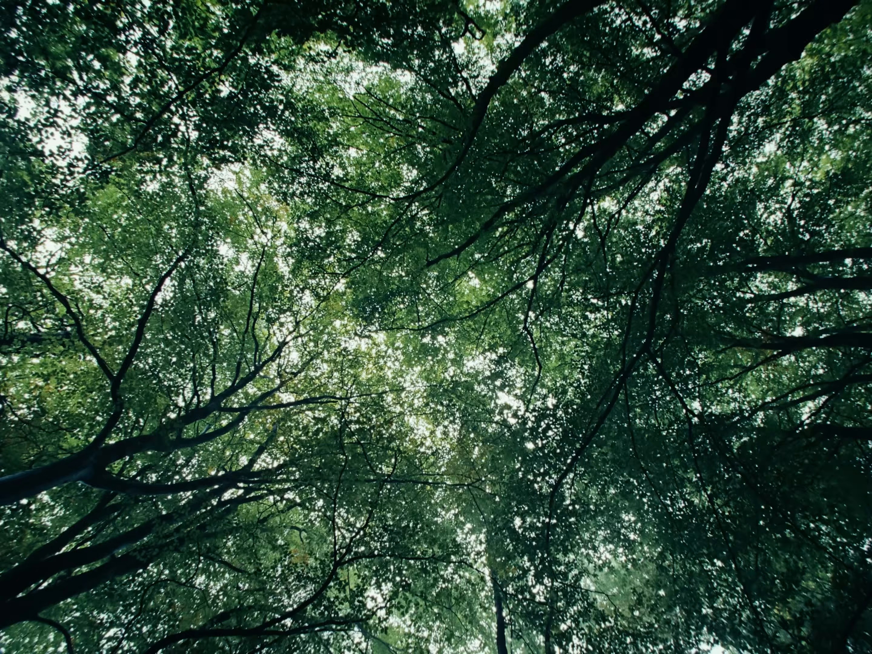 All The Way (2025) —  shot,  lighting