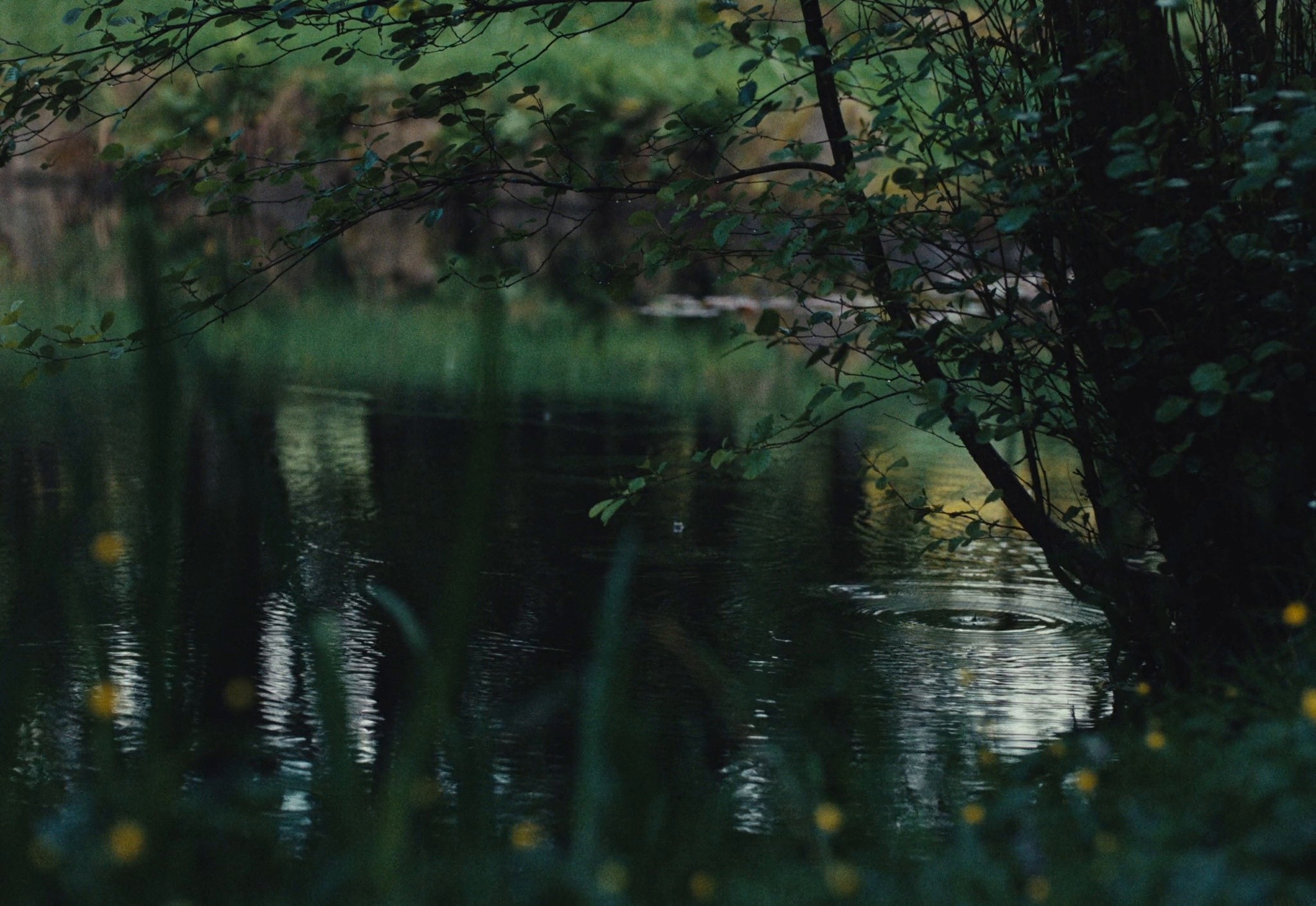 Serenity (2026) —  shot,  lighting