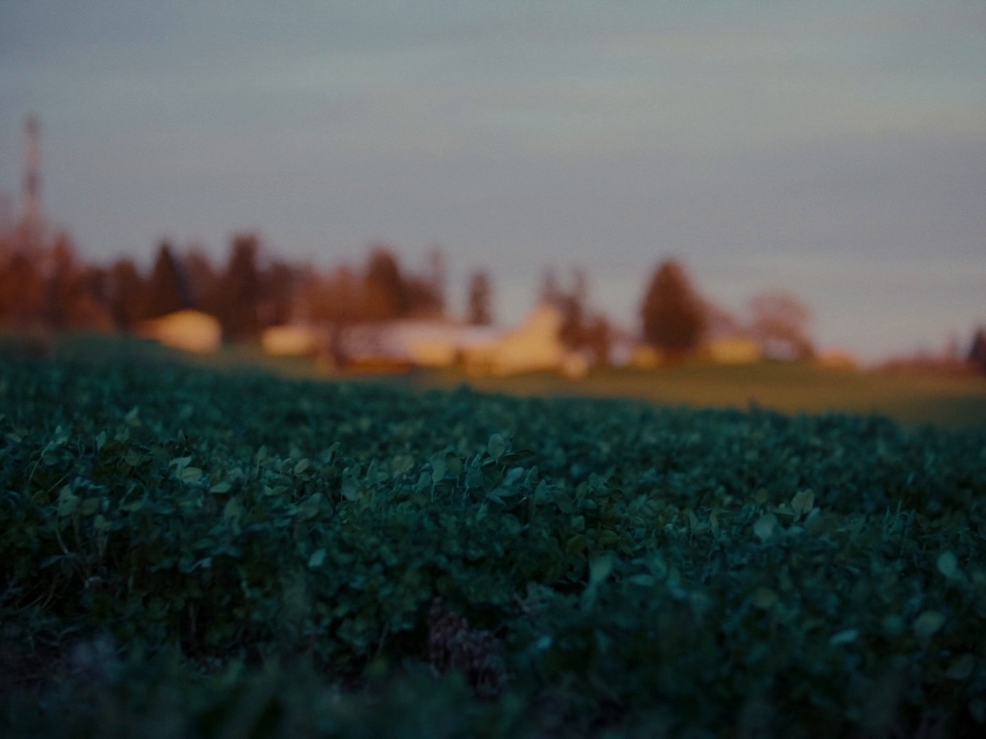 Pas Normal Studios (2024) —  shot,  lighting