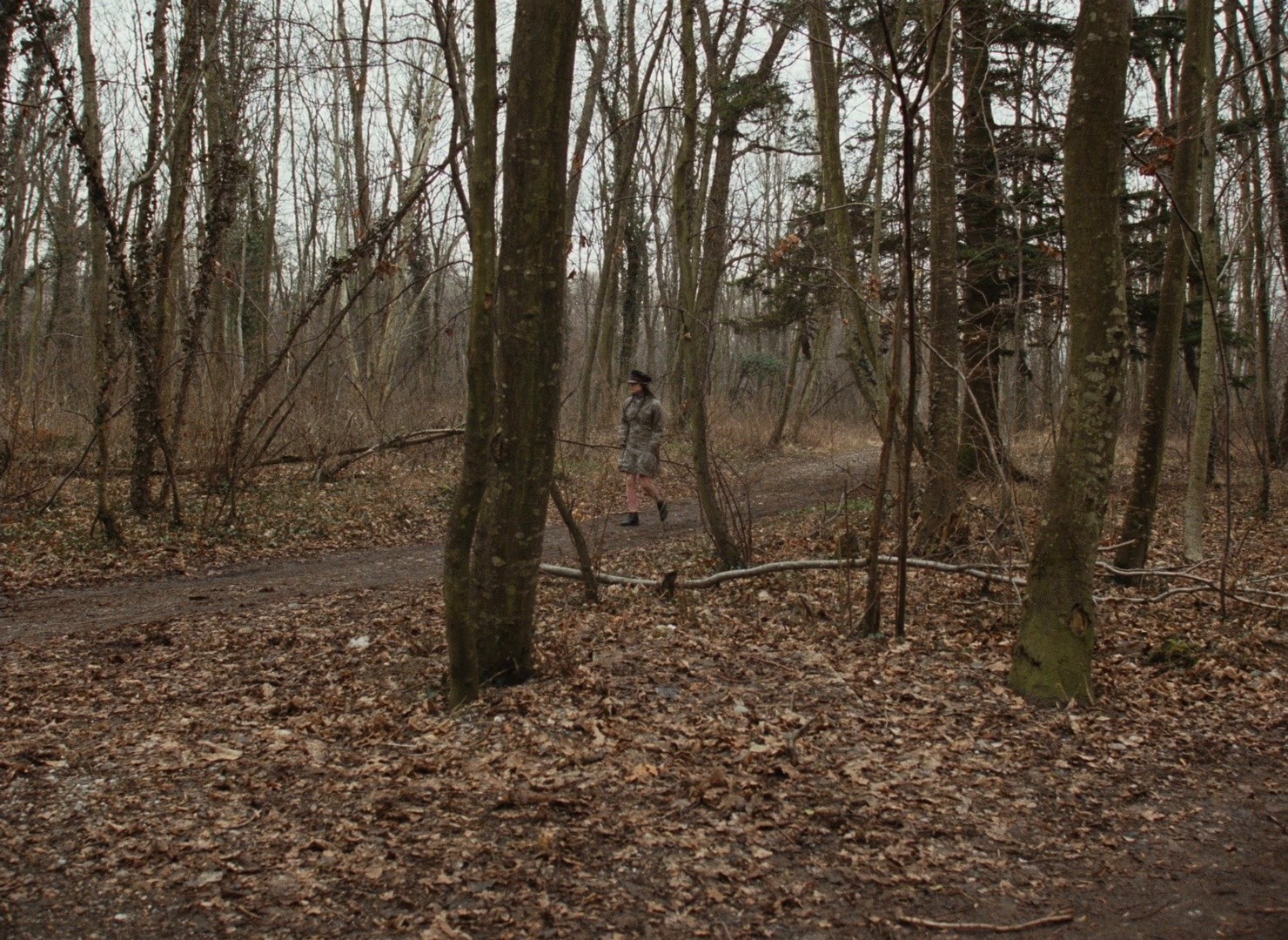 King Lear (2002) —  shot,  lighting