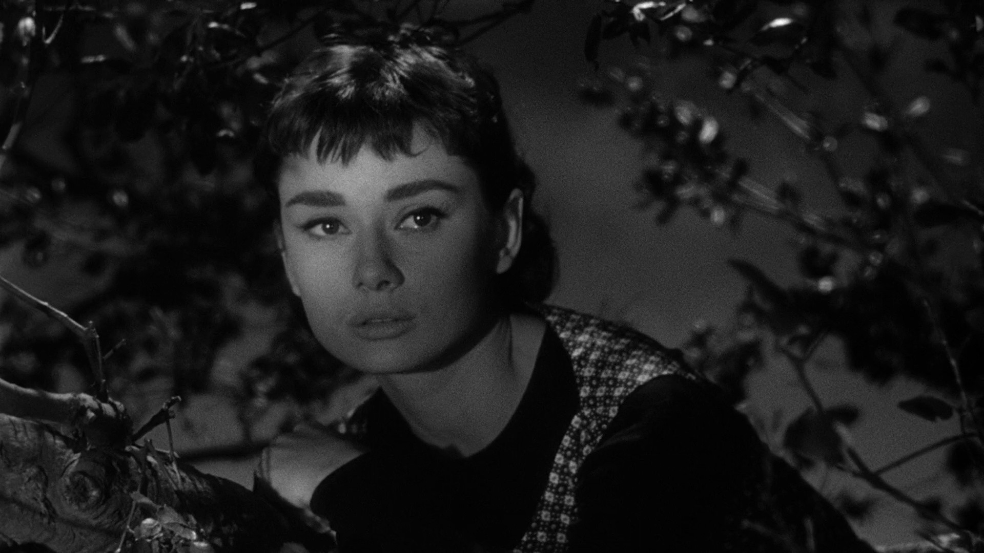 Sabrina (1954) —  shot,  lighting