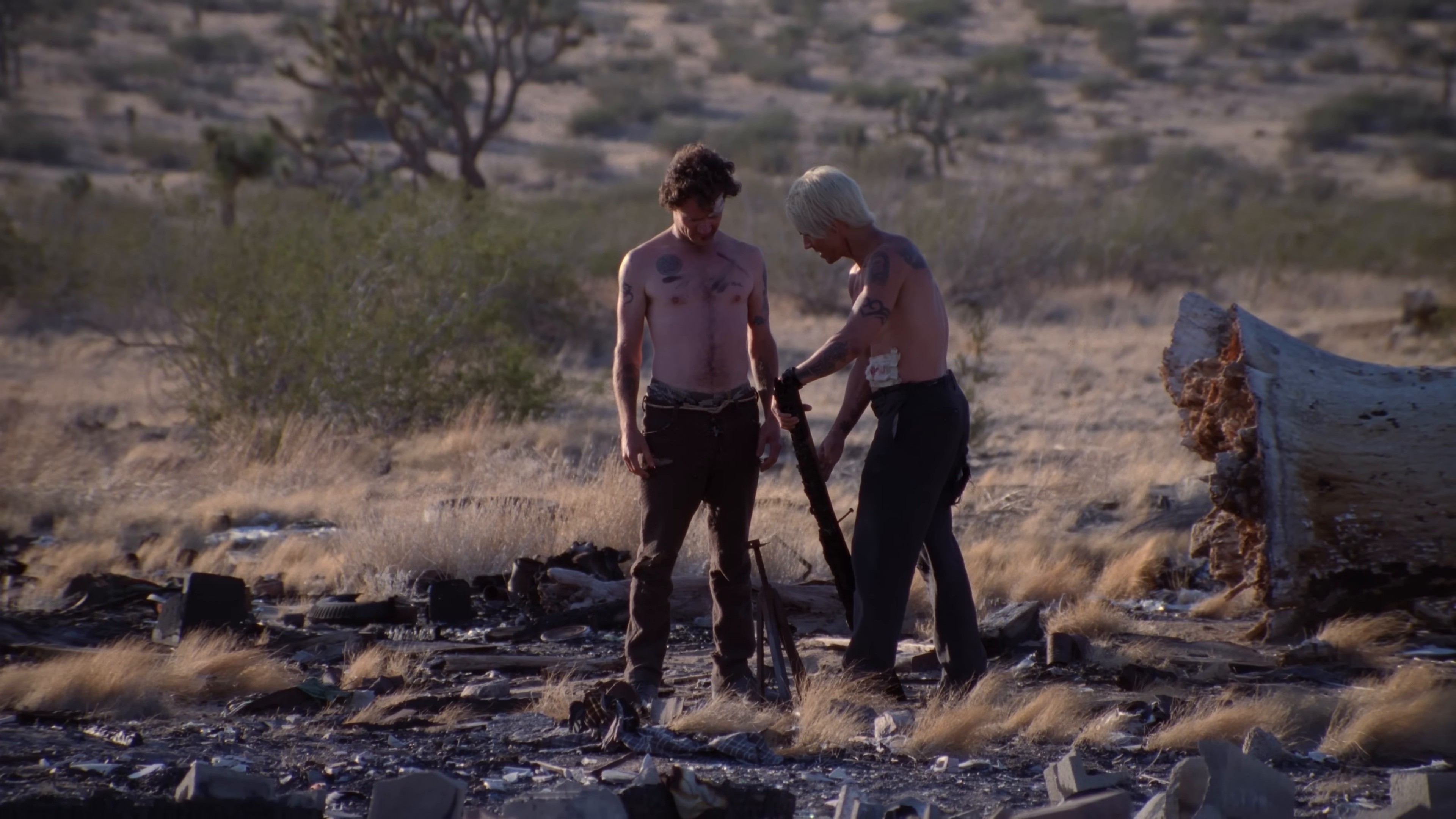 Scar Tissue (2011) —  shot,  lighting