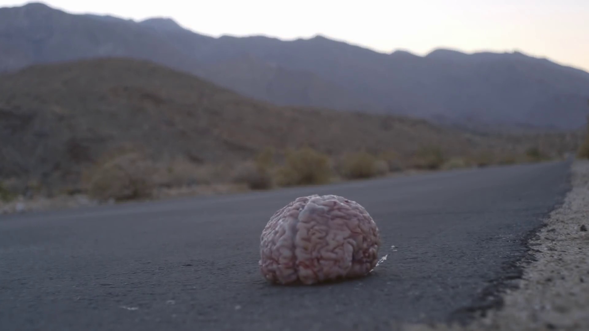 Night Owl  (2016) —  shot,  lighting