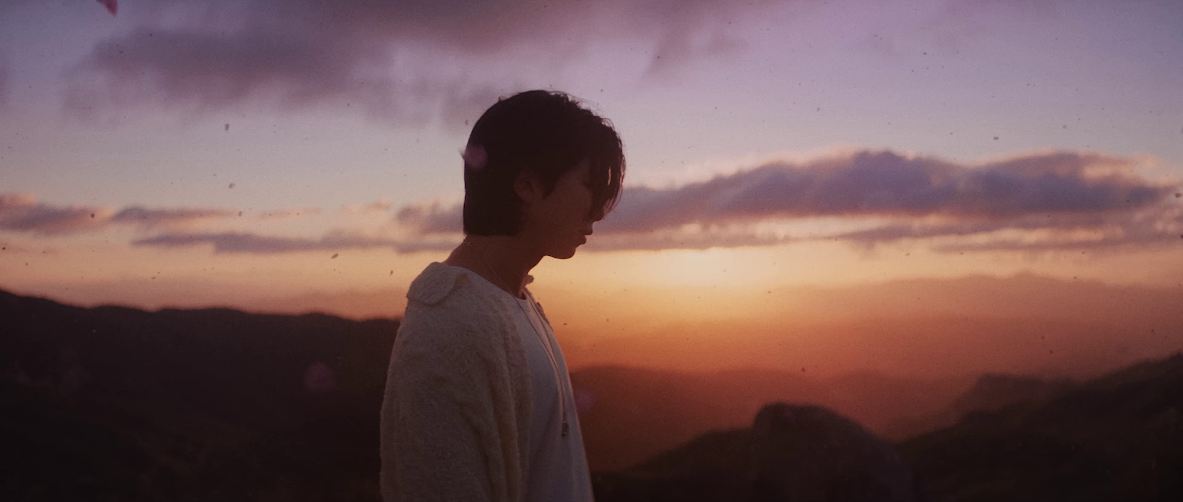 Wild Flower (2022) —  shot,  lighting