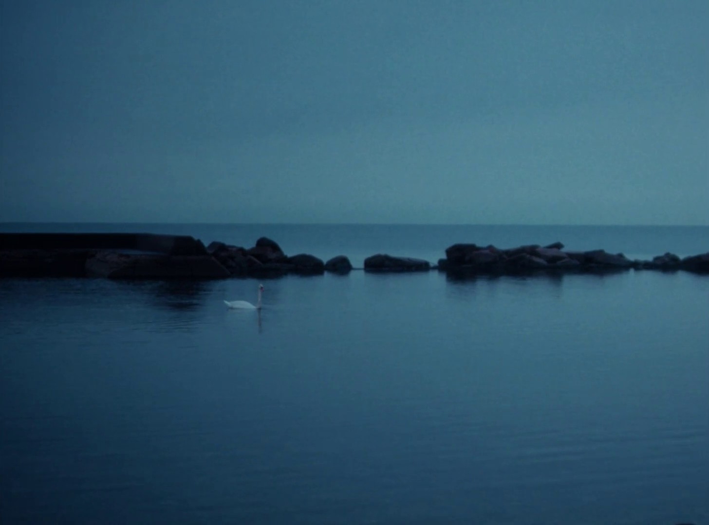 EGALE "HELP US REMAIN" (2024) —  shot,  lighting