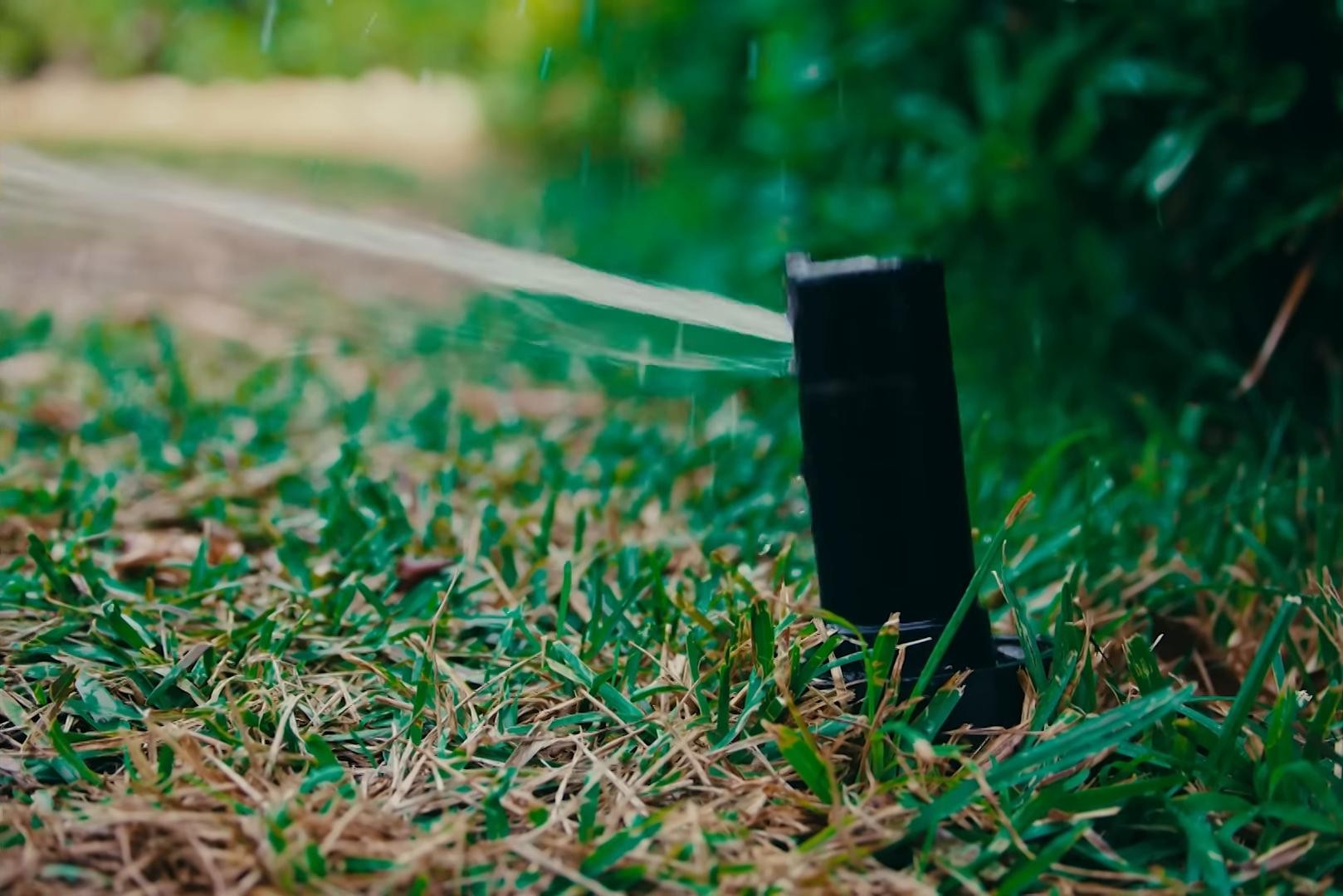 SUGAR (2025) —  shot,  lighting