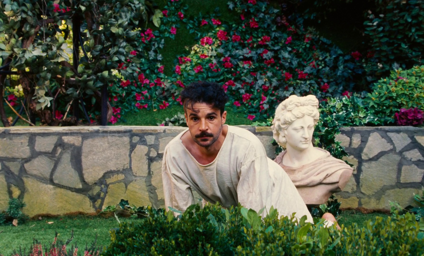 Poor Things (2024) —  shot,  lighting