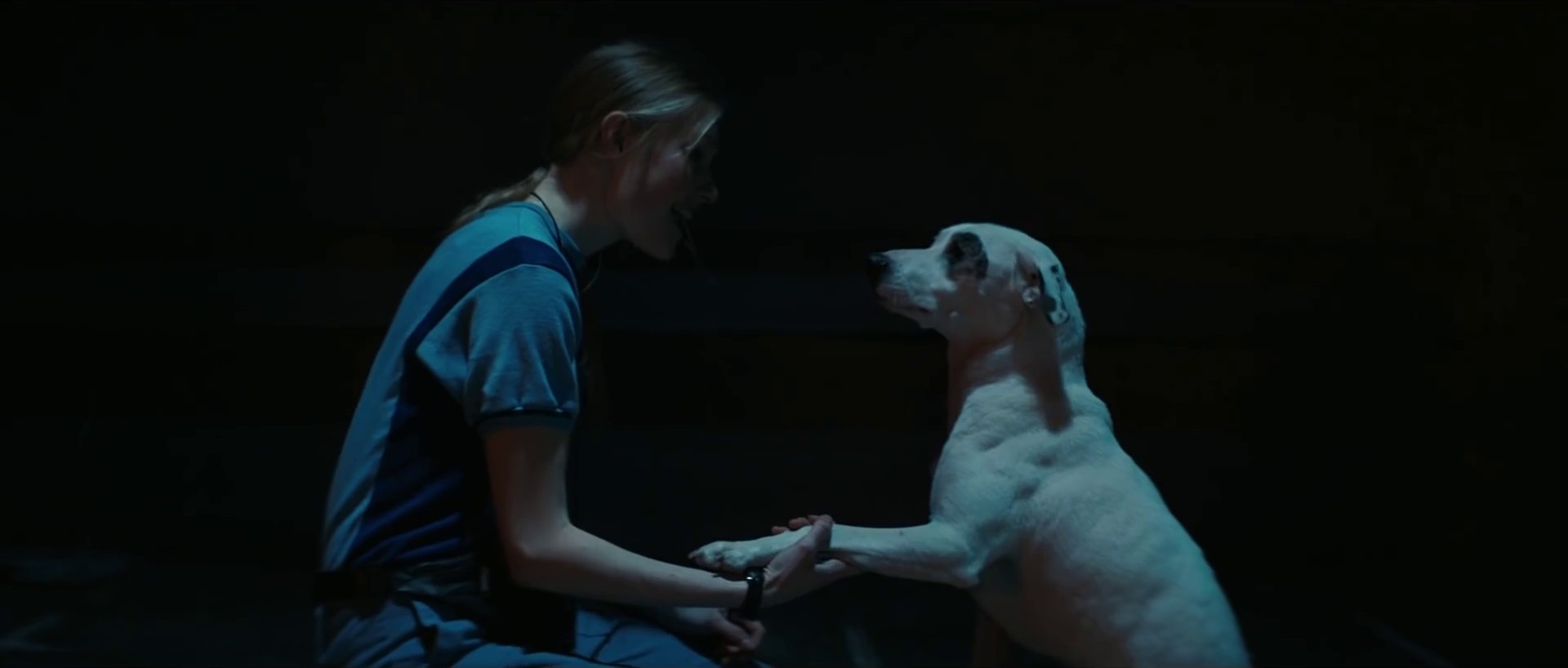 We've Got To Try (2019) —  shot,  lighting