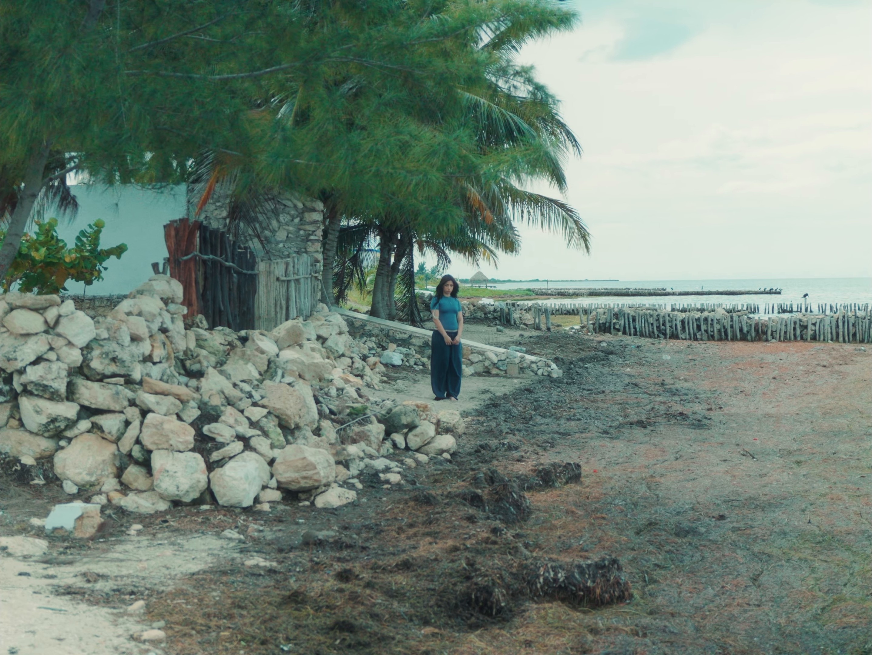 Gondwana (2024) —  shot,  lighting