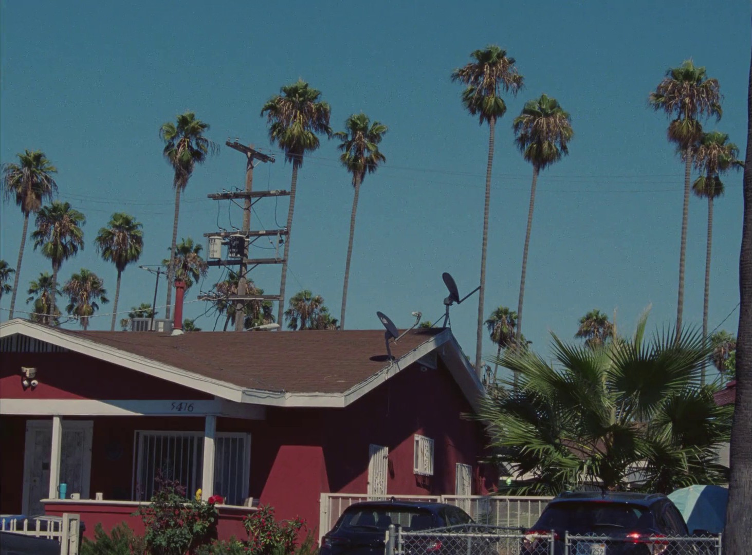 Paradise (2023) —  shot,  lighting