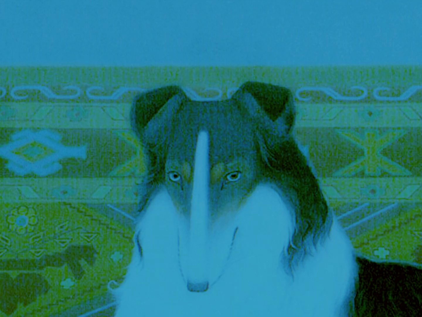 Distracted By You (2025) —  shot,  lighting