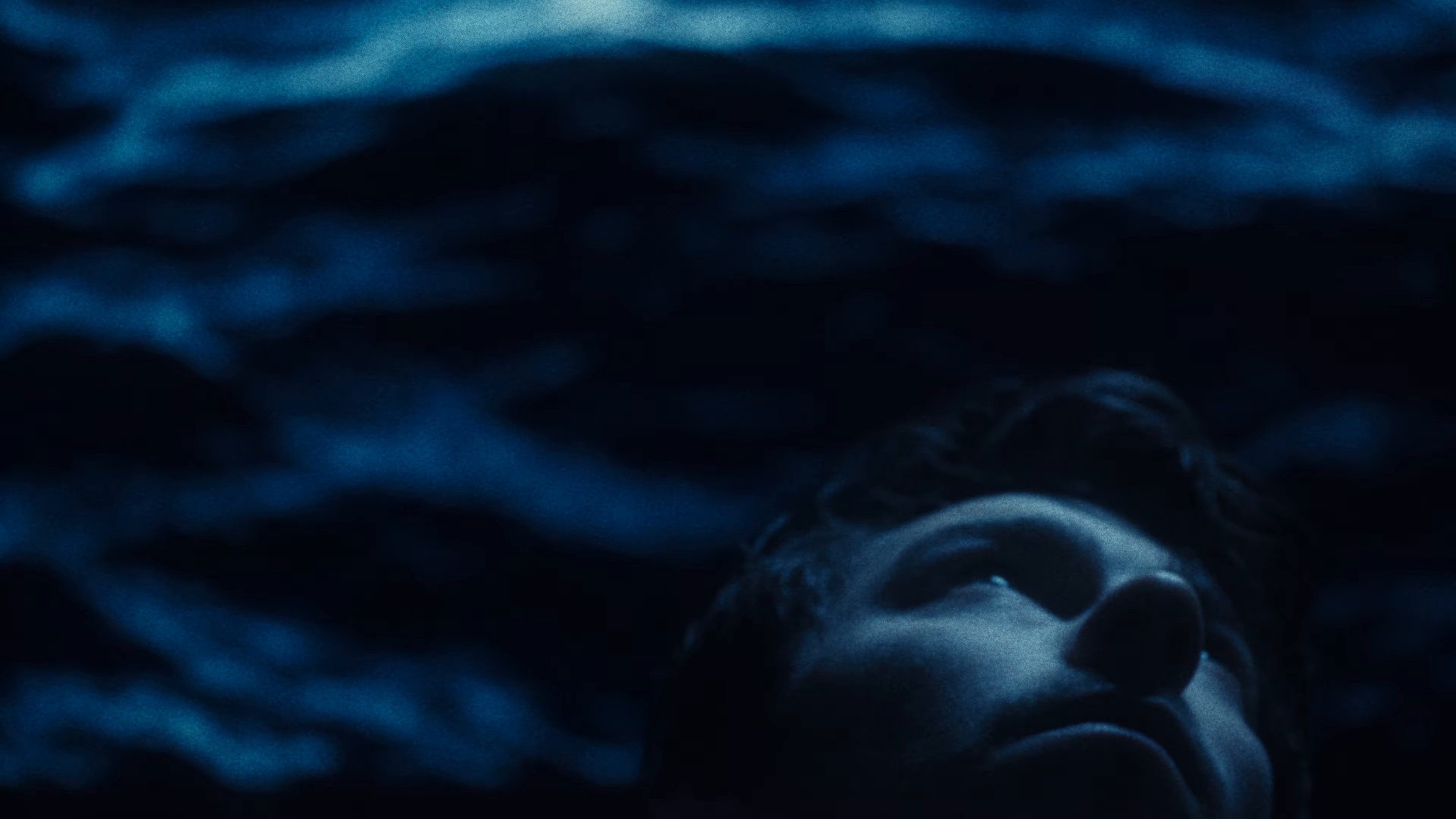 THE BEAUTY OF IT ALL (2024) —  shot,  lighting