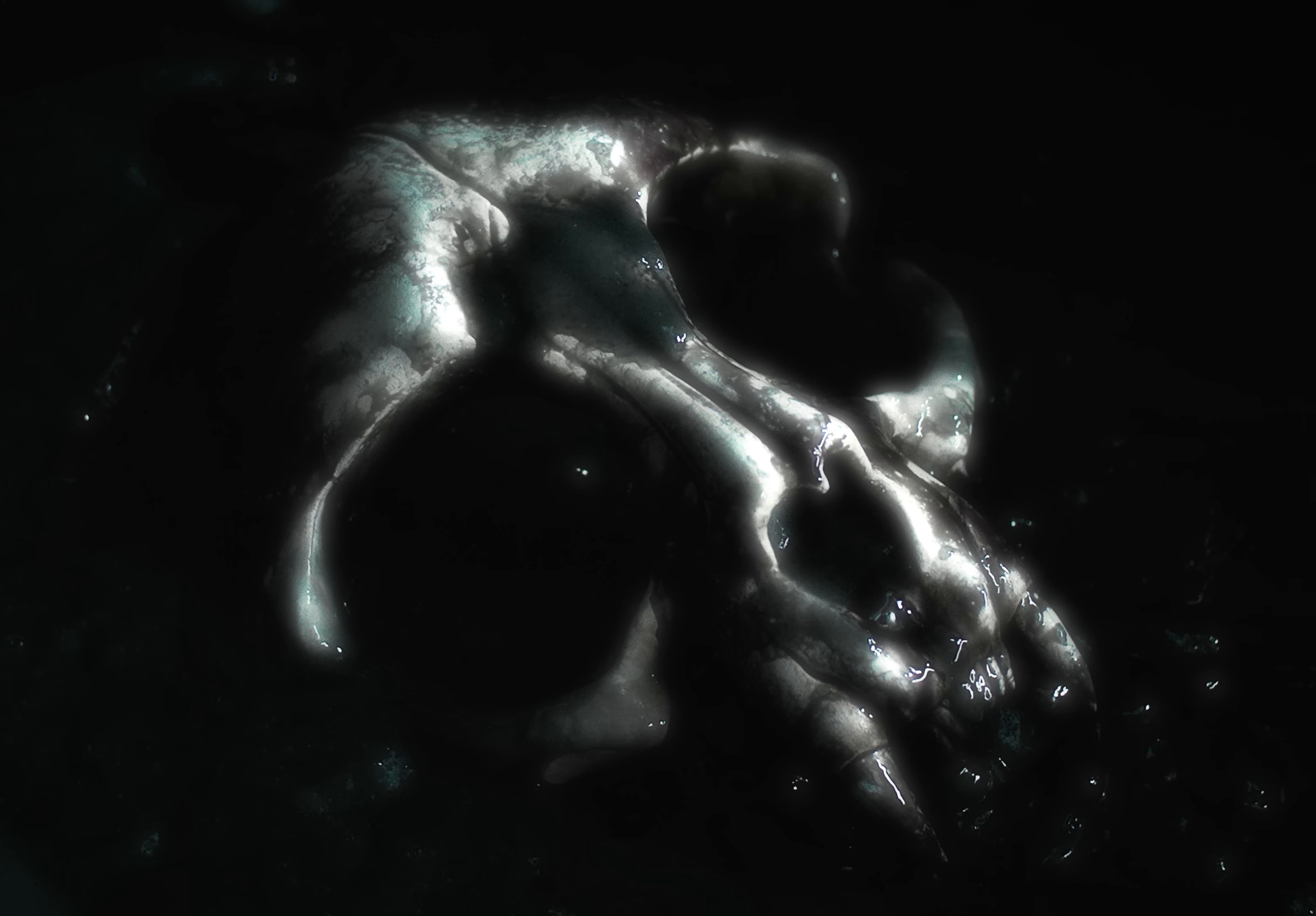 Evangelic Girl is a Gun (2025) —  shot,  lighting