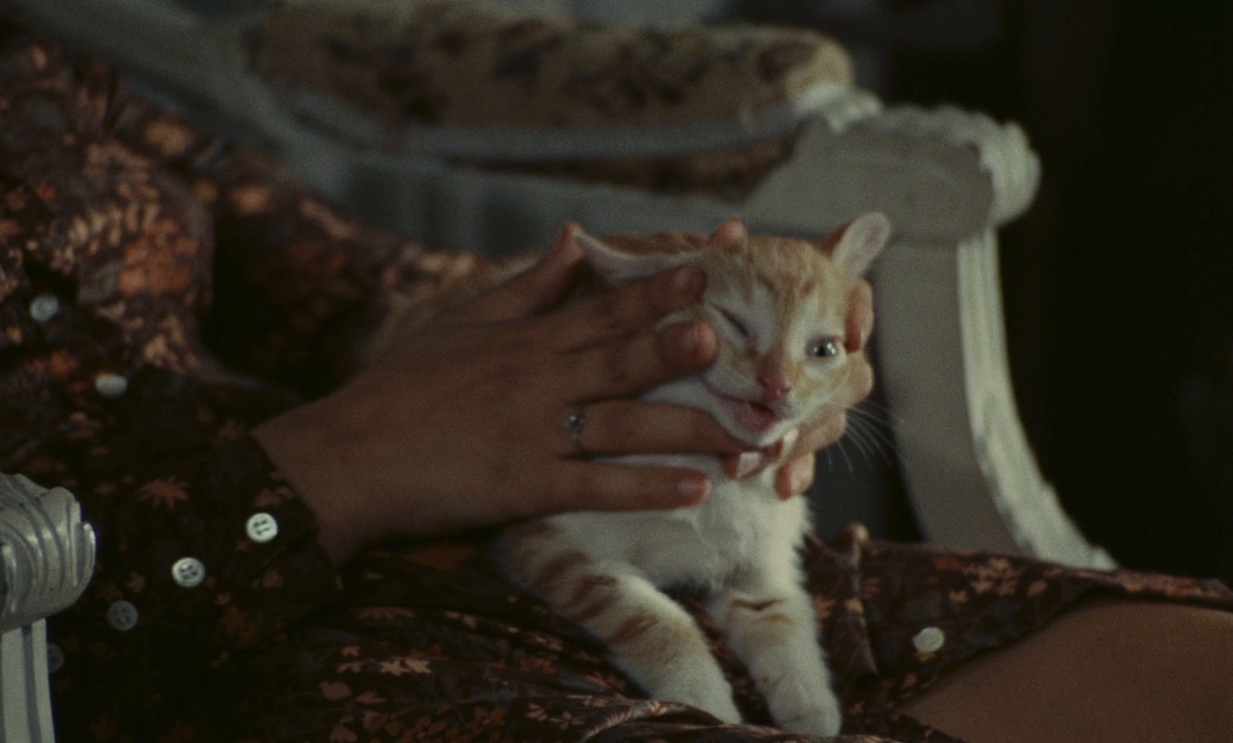 Don't Deliver Us from Evil (1972) —  shot,  lighting