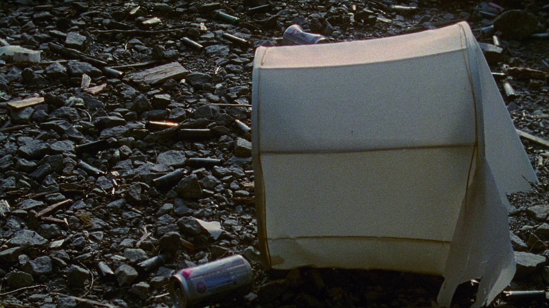 Old Joy (2008) —  shot,  lighting