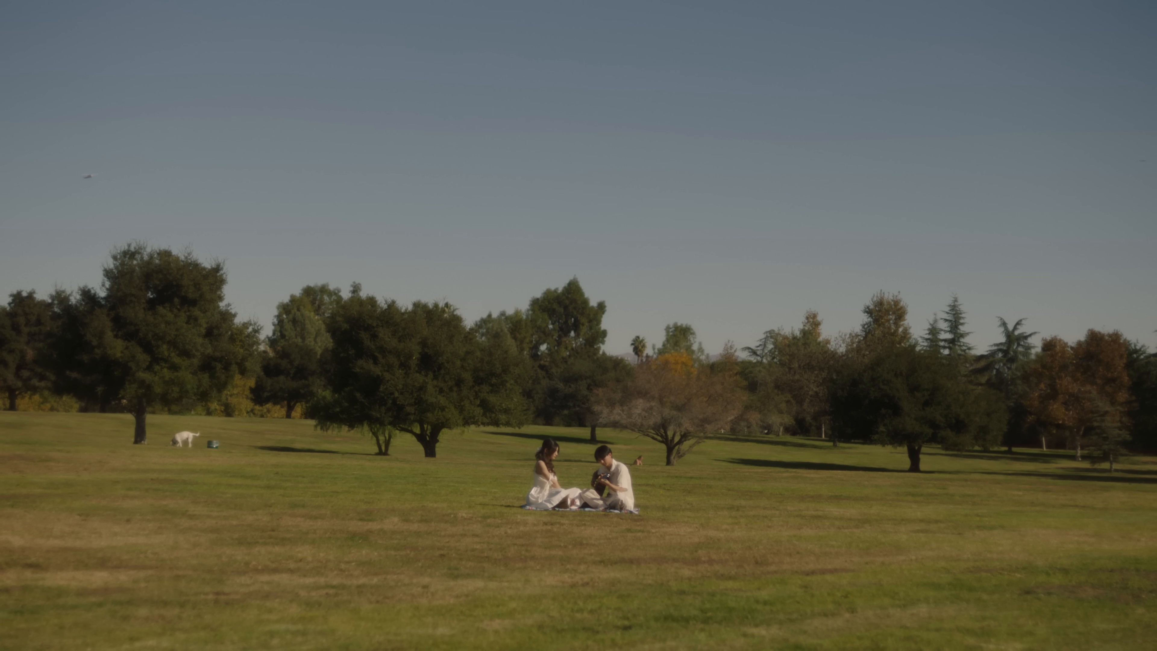 blue (2024) —  shot,  lighting