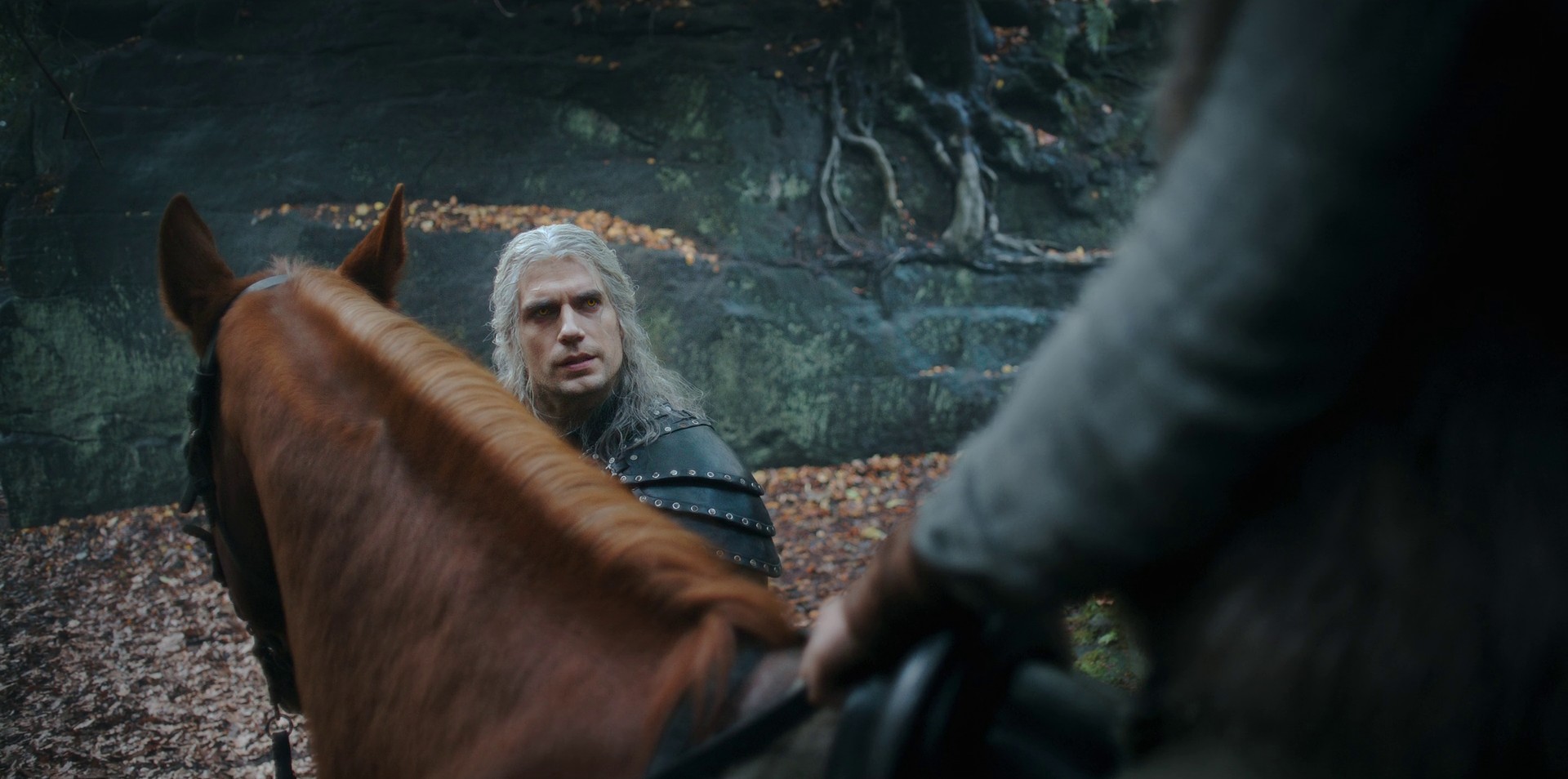 Dear Friend... (2021) —  shot,  lighting