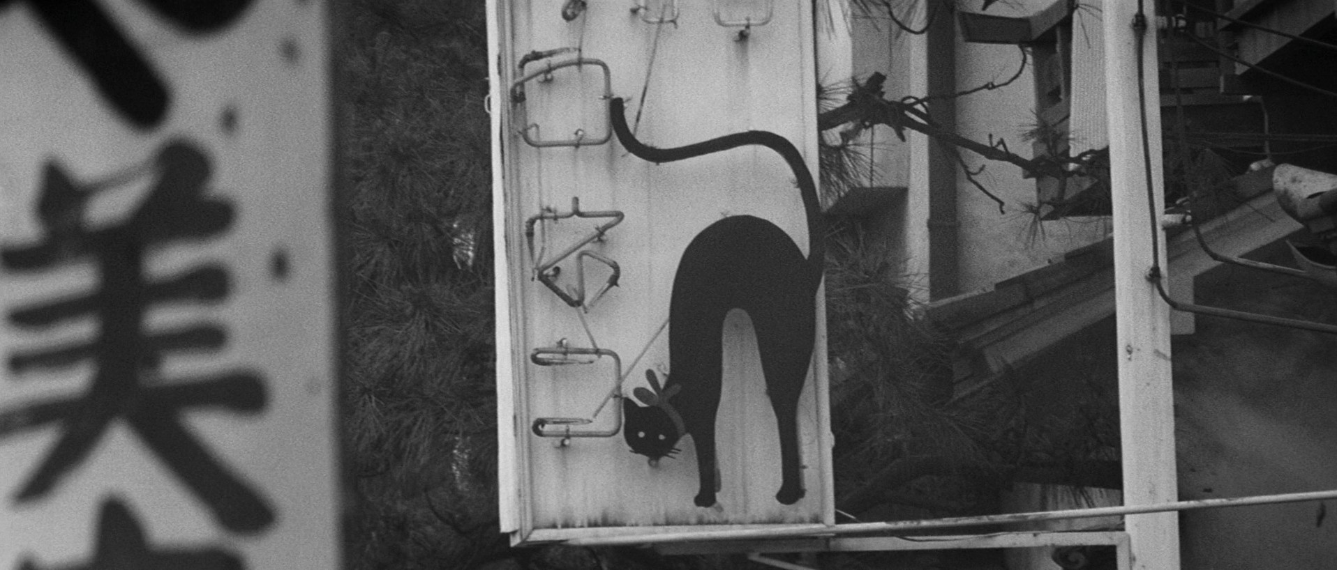 Pale Flower (2023) —  shot,  lighting