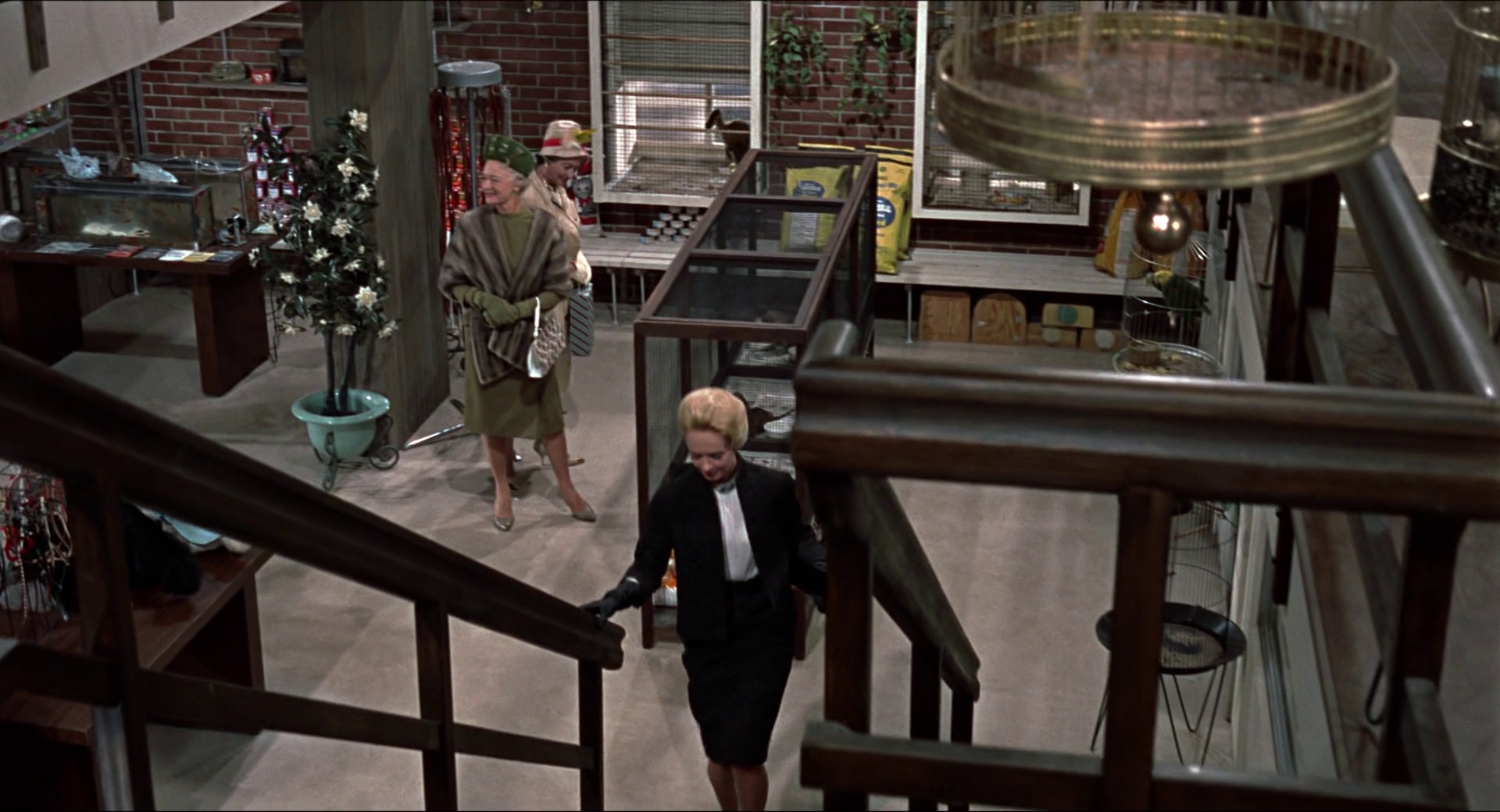 The Birds (1963) —  shot,  lighting