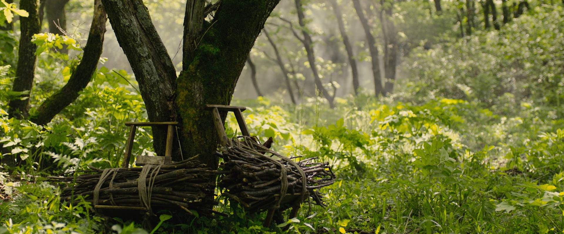 Kingdom (2019) —  shot,  lighting