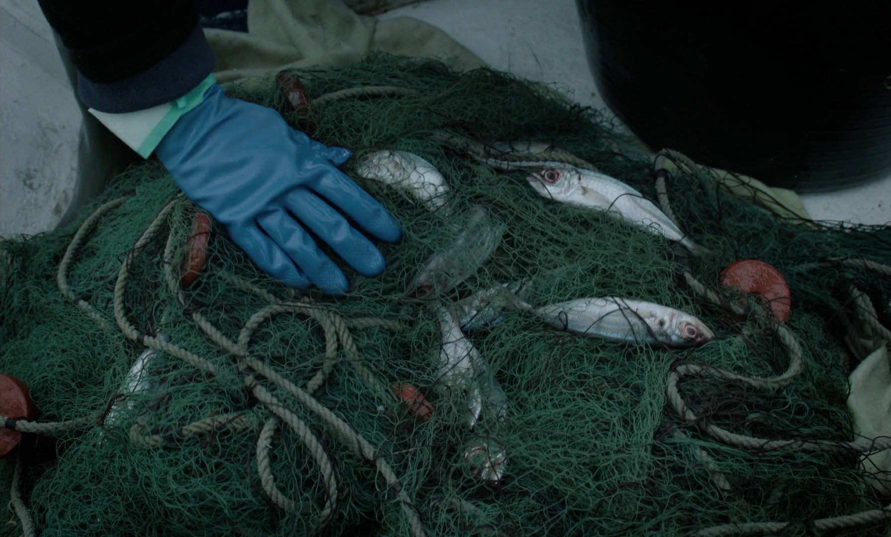 Close Your Eyes (2023) —  shot,  lighting