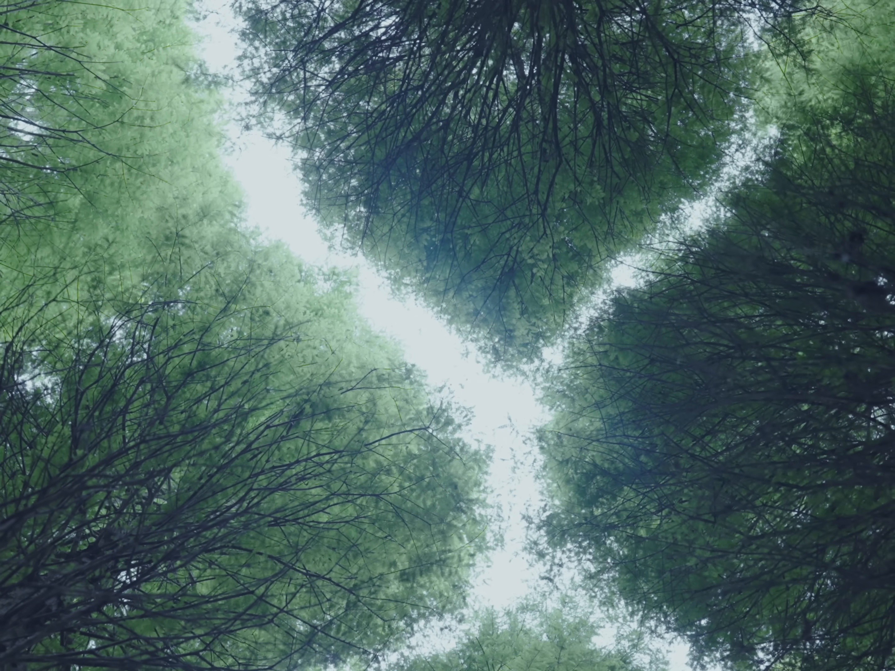 Still Moving (2025) —  shot,  lighting