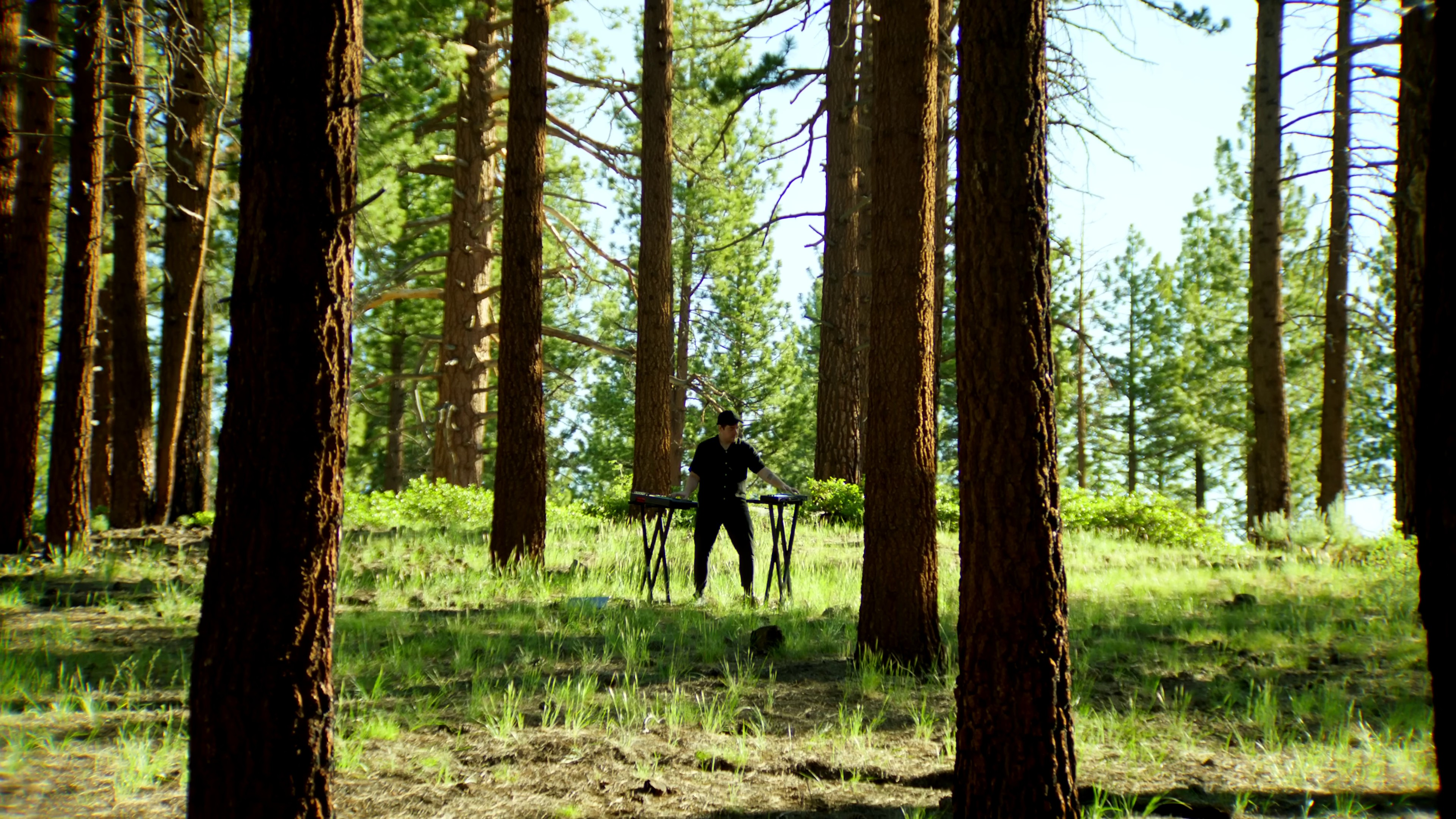 Save Some Room (2022) —  shot,  lighting