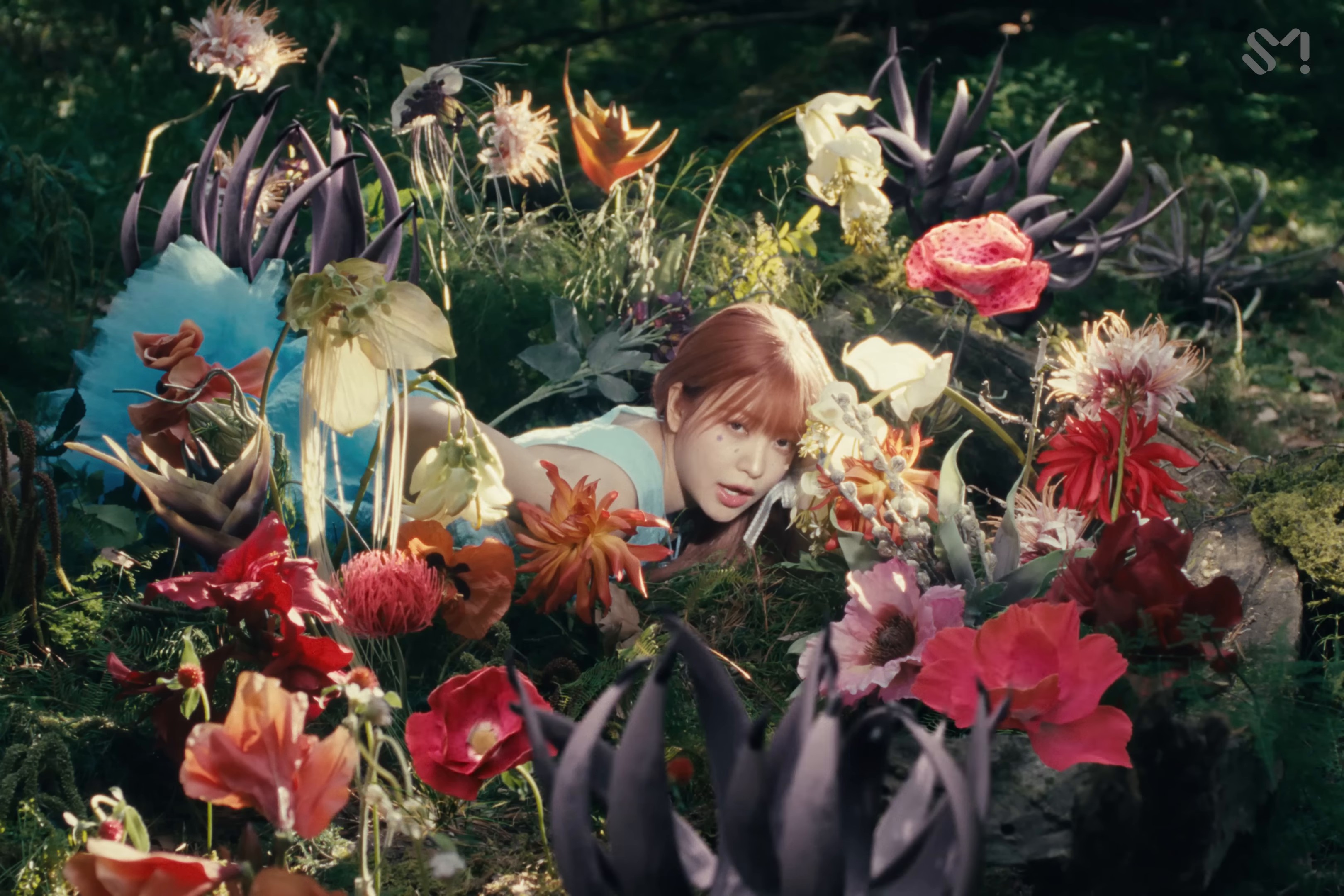 Cosmic (2024) —  shot,  lighting