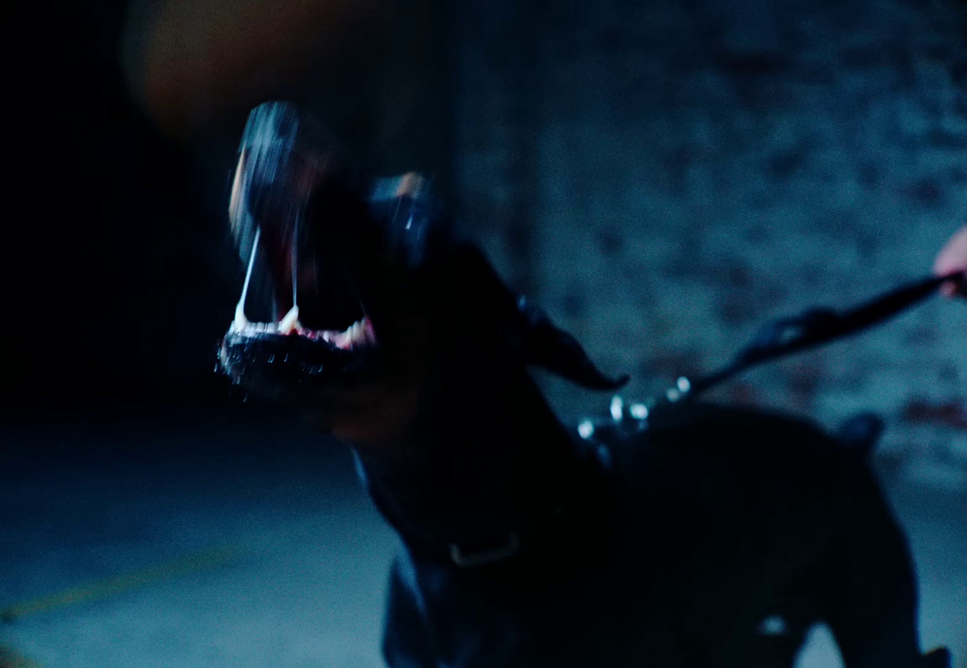 Miss my dawgs  (2022) —  shot,  lighting