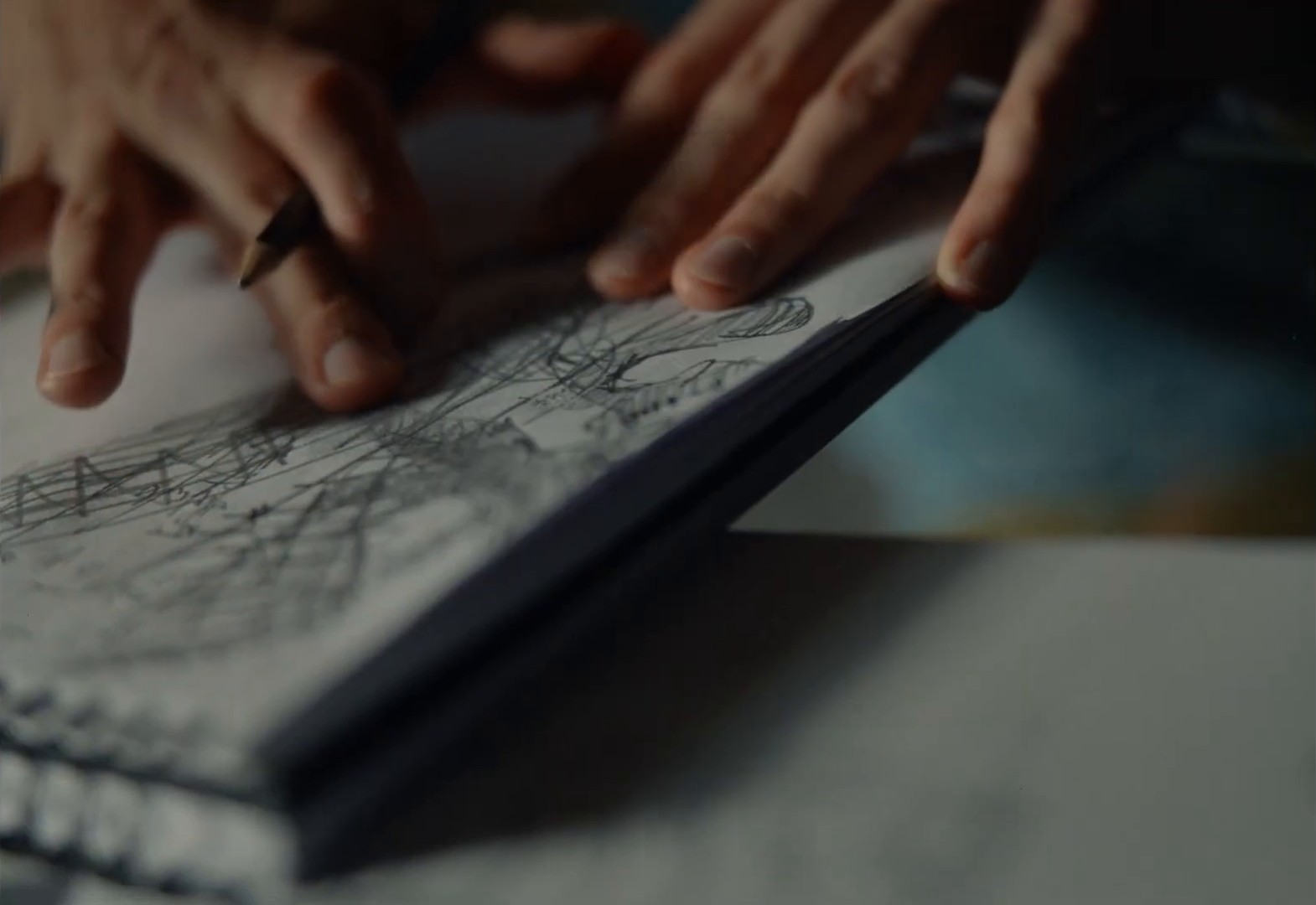 Dom jest wtedy, gdy ludzie i zwierzęta wspólnie mogą oswajać swój świat (2024) —  shot,  lighting