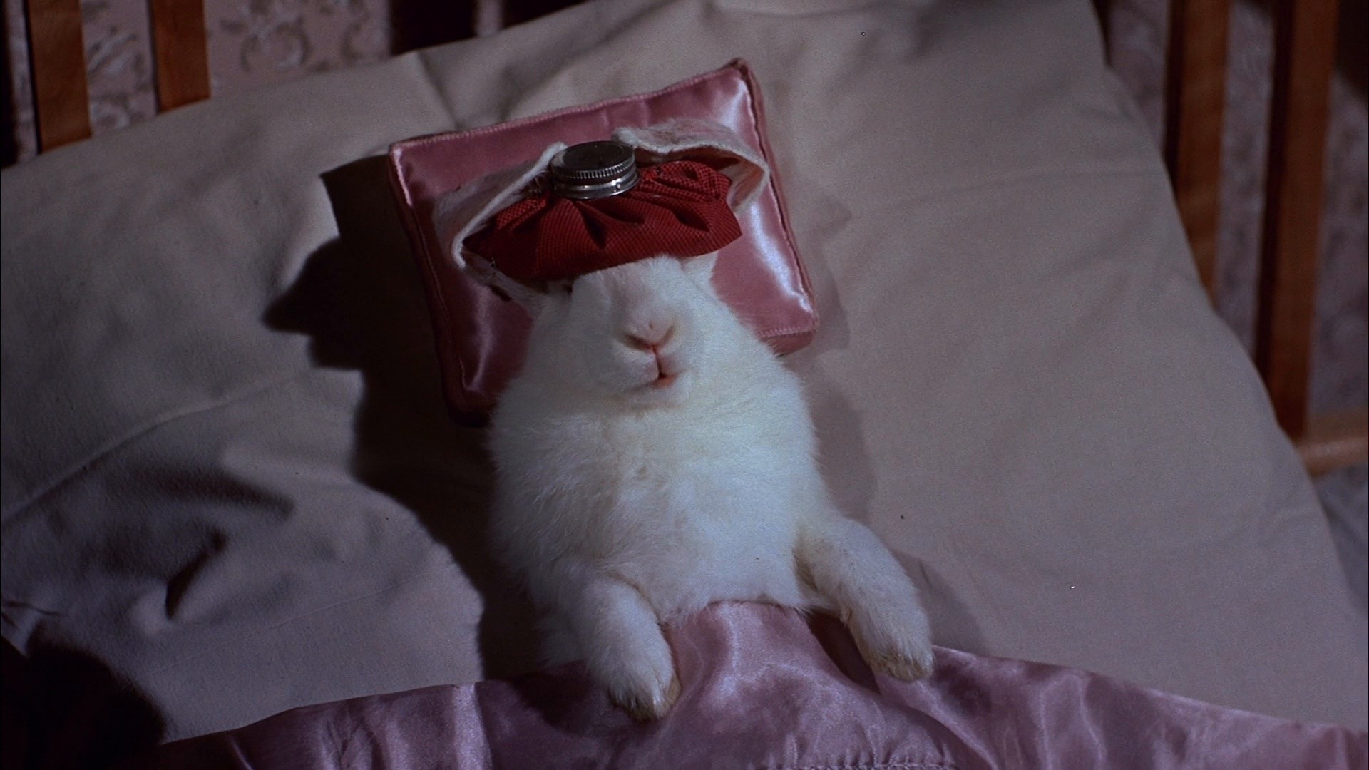 The Geisha Boy (1958) —  shot,  lighting