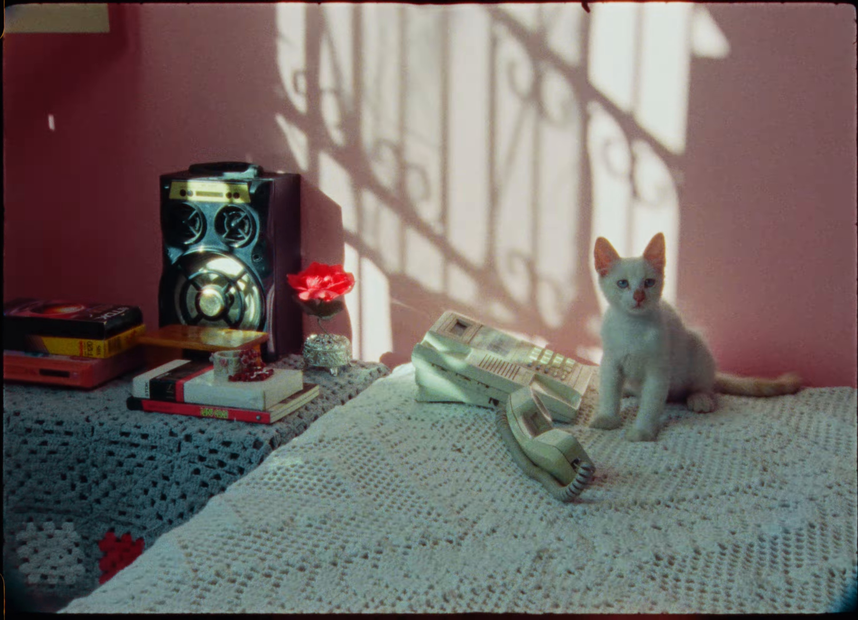 DDD31 (2024) —  shot,  lighting