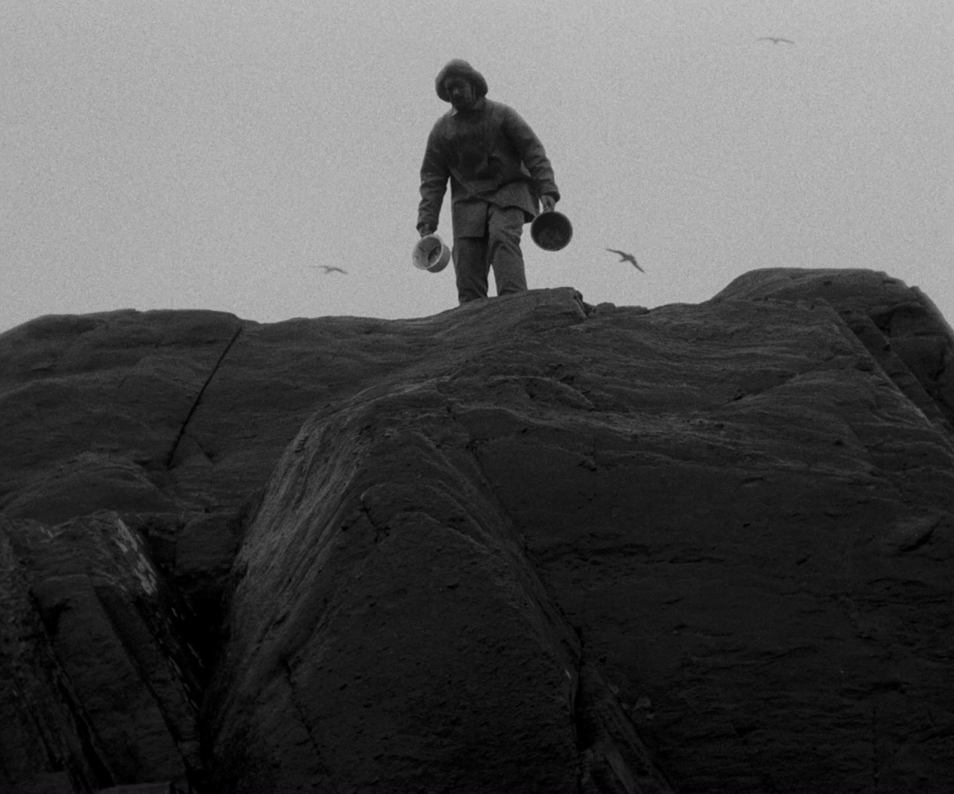 The Lighthouse (2019) —  shot,  lighting