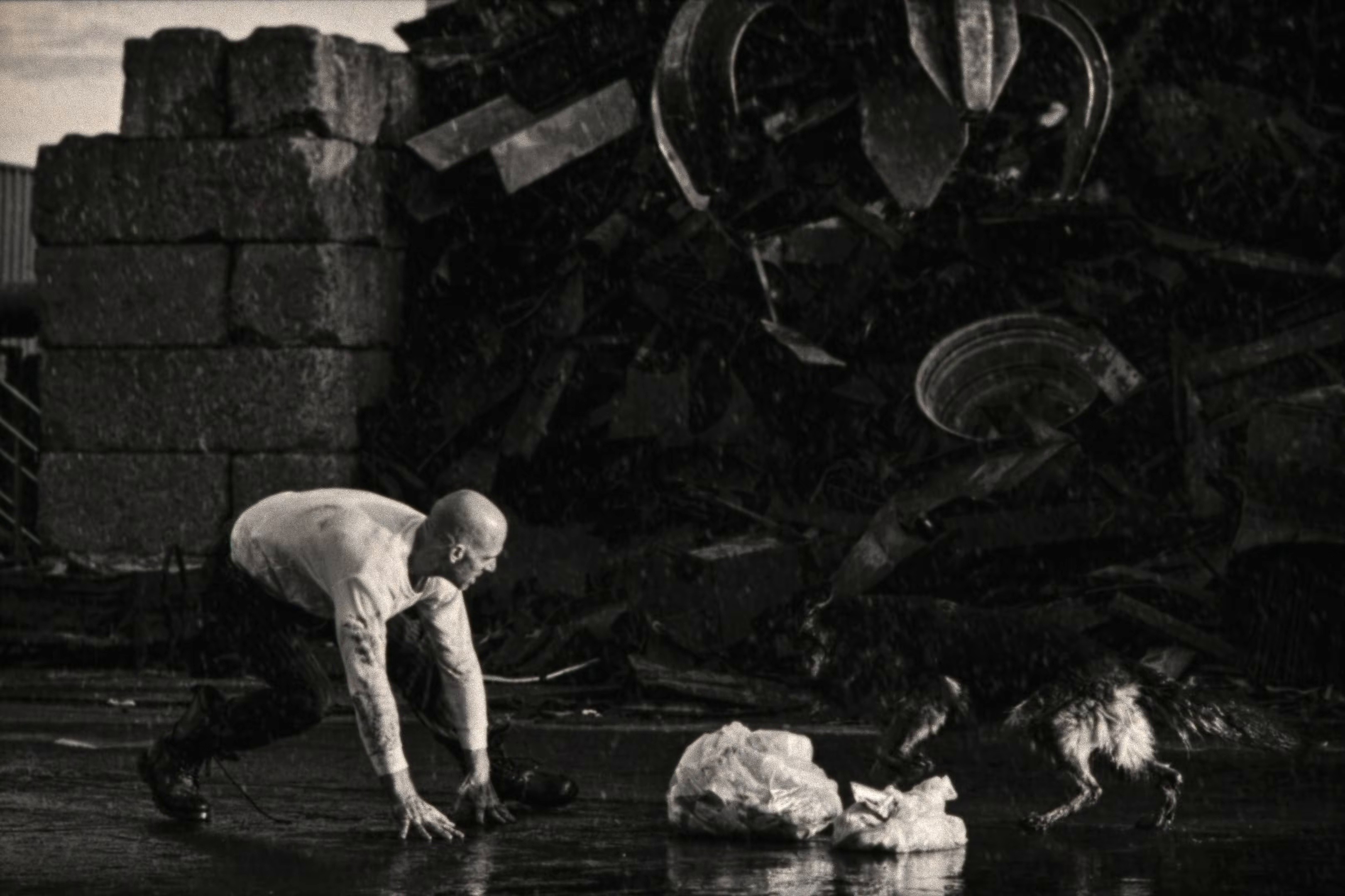 SI LE SOLEIL EXISTE (2025) —  shot,  lighting